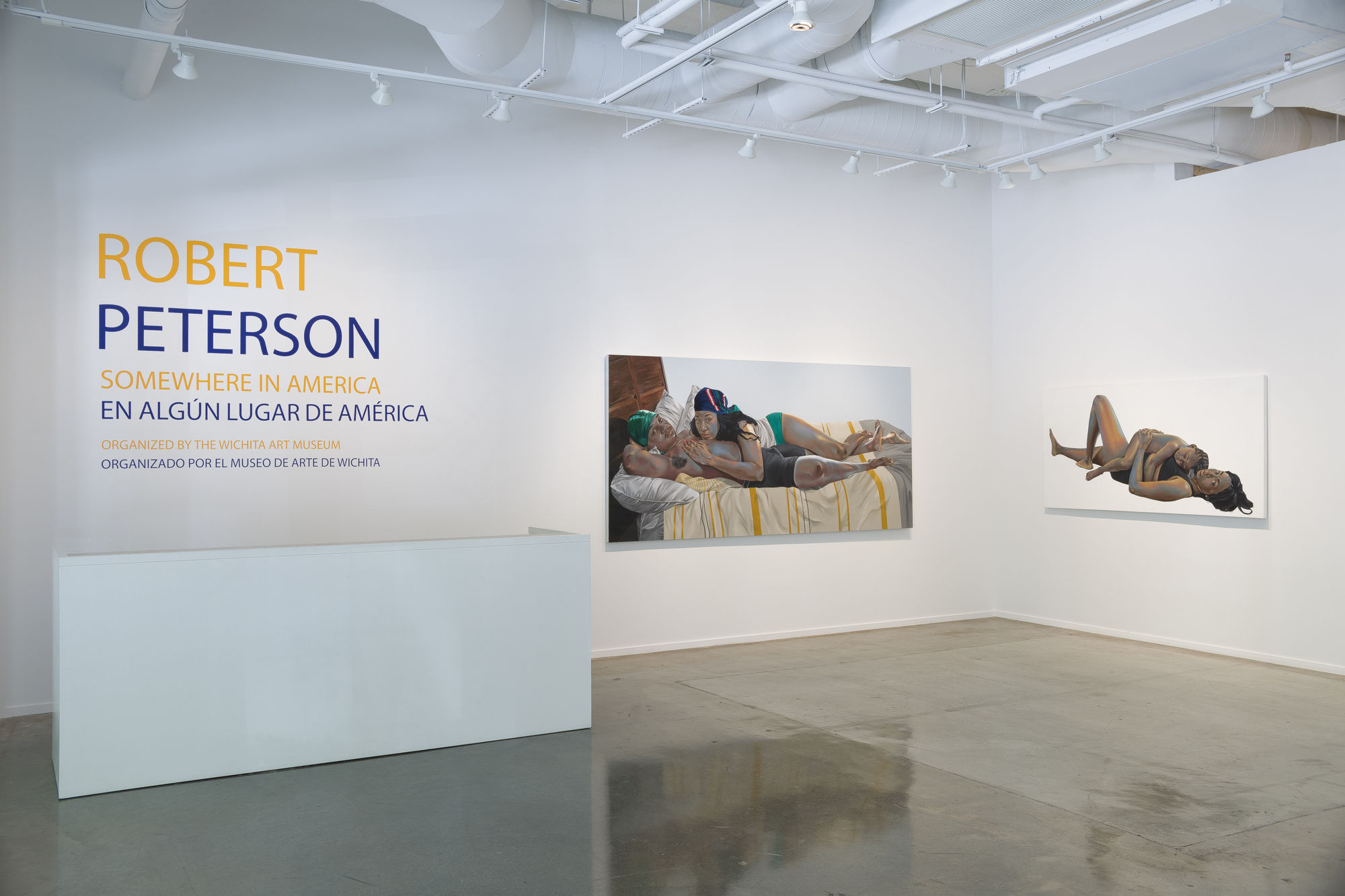 Installation view, Robert Peterson: Somewhere in America, 2025. Photo: Evan Sheldon.