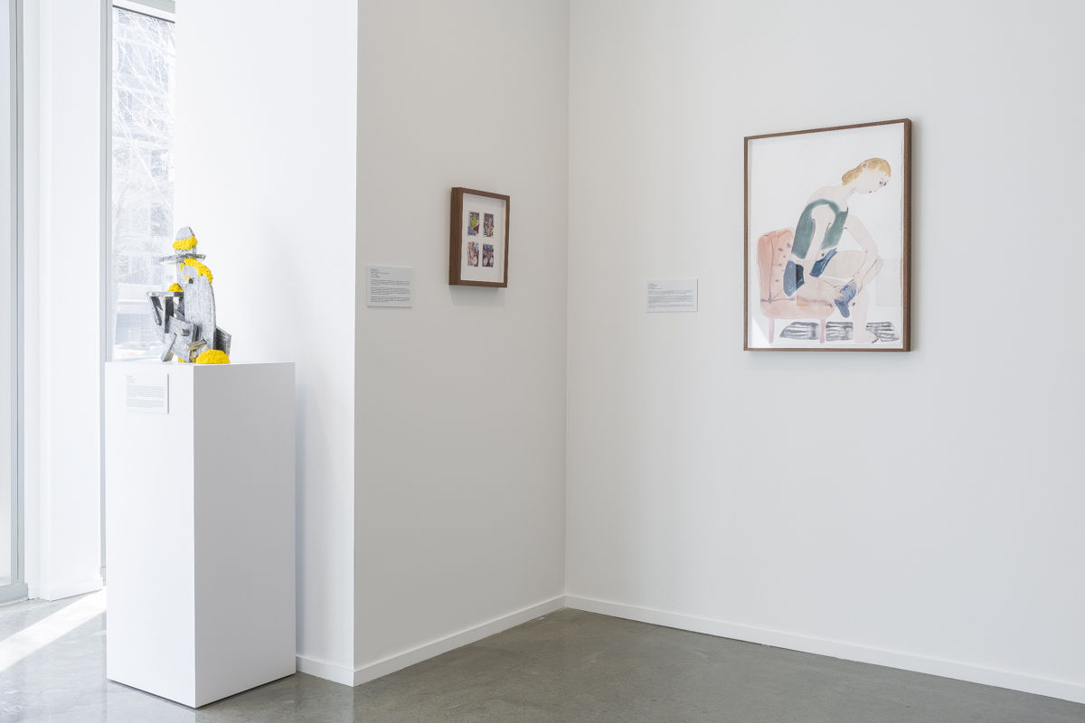 Installation view, Fields of Vision: Dallas Collects, 2026. Photo: Evan Sheldon.