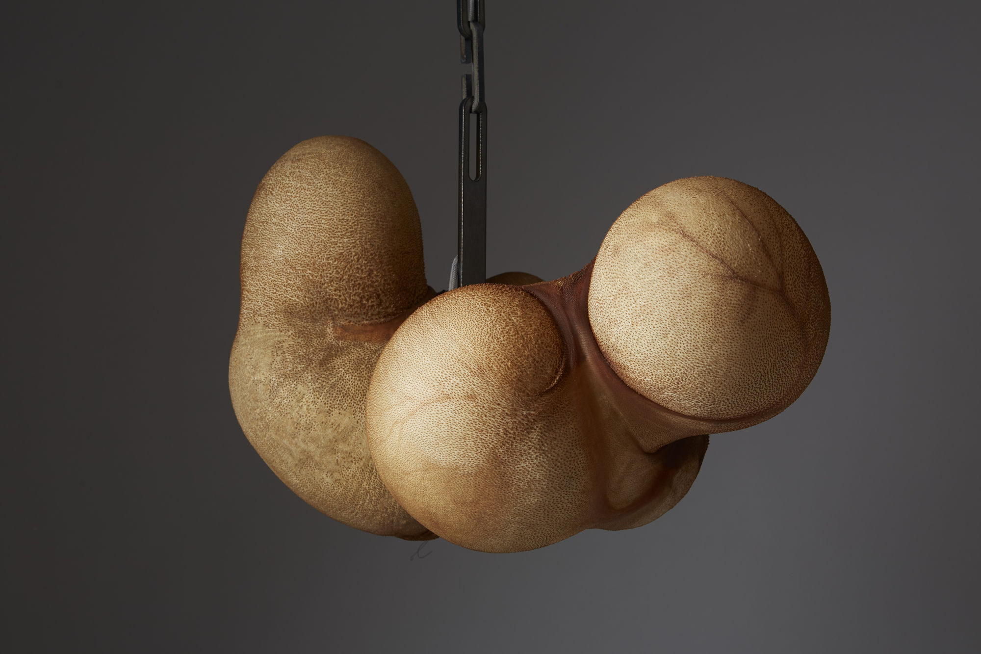 Michel Bussien, Stomach Ceiling Lamp