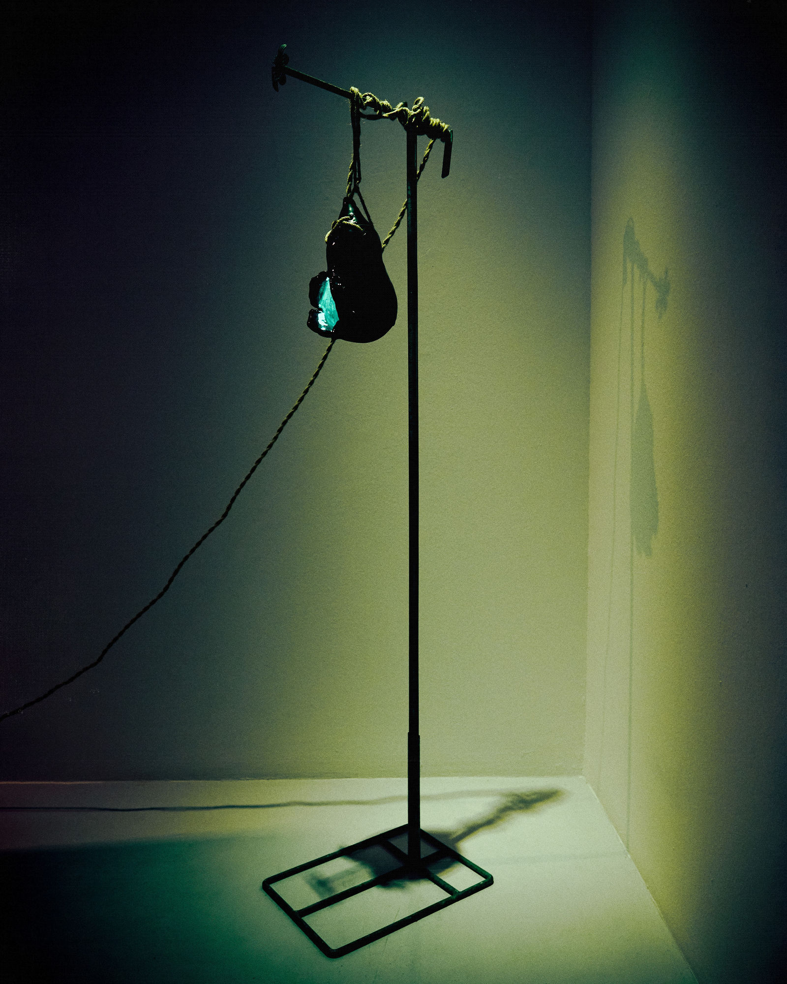 Shayne Phua: A roast of Asian nine tails topped with broken femur and bile, accompanied by more curious ingredients