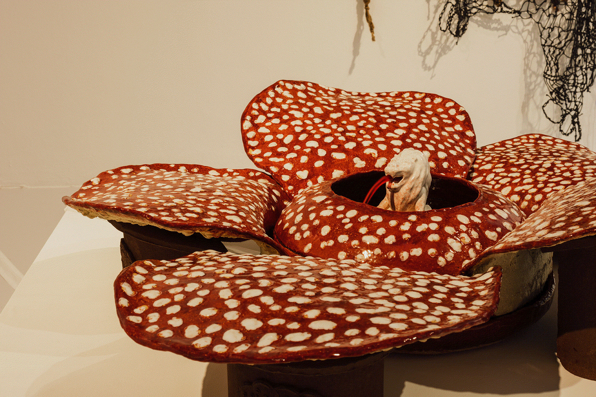 Ornamental ⠂瓖 (xiāng)