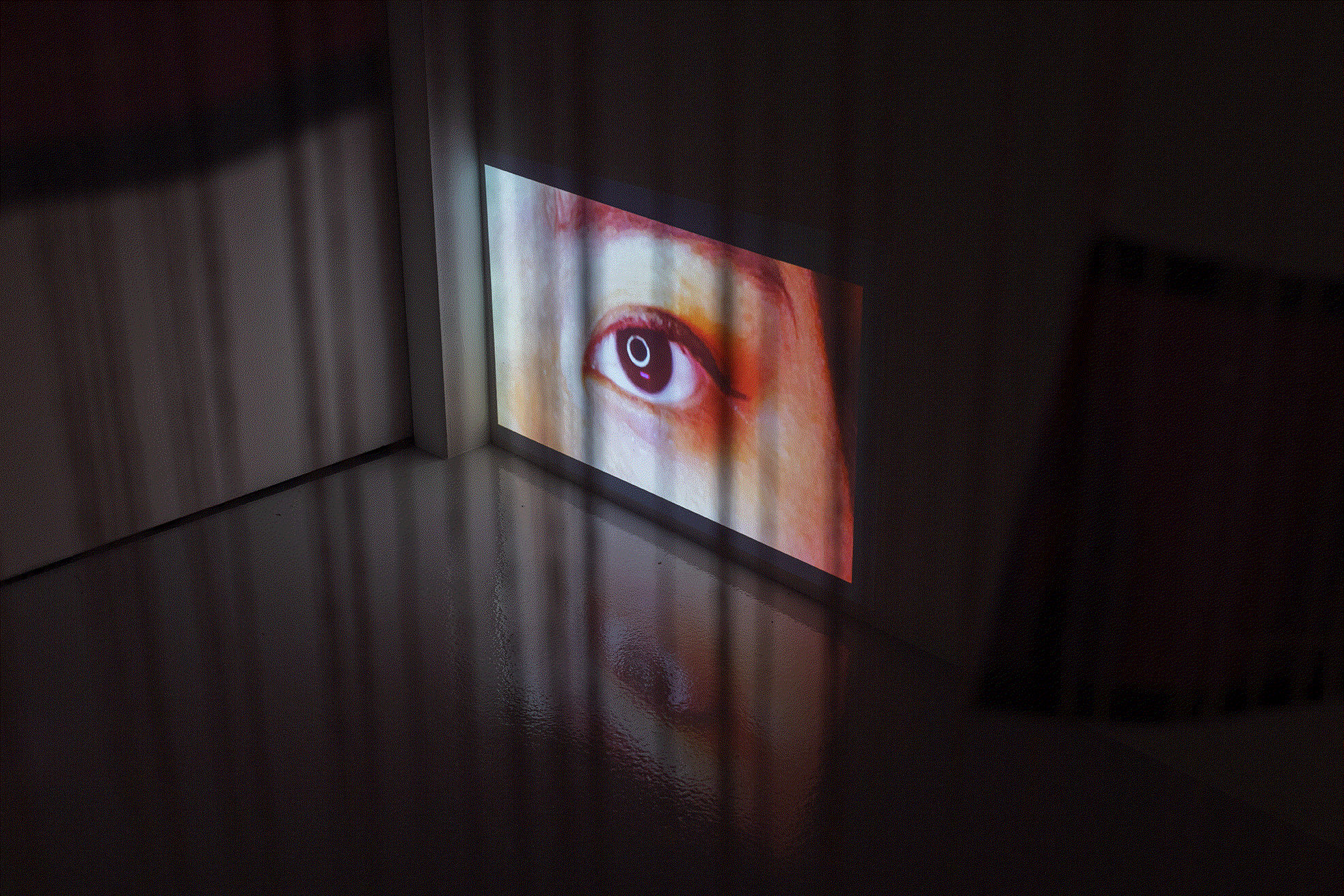 Ornamental ⠂瓖 (xiāng)