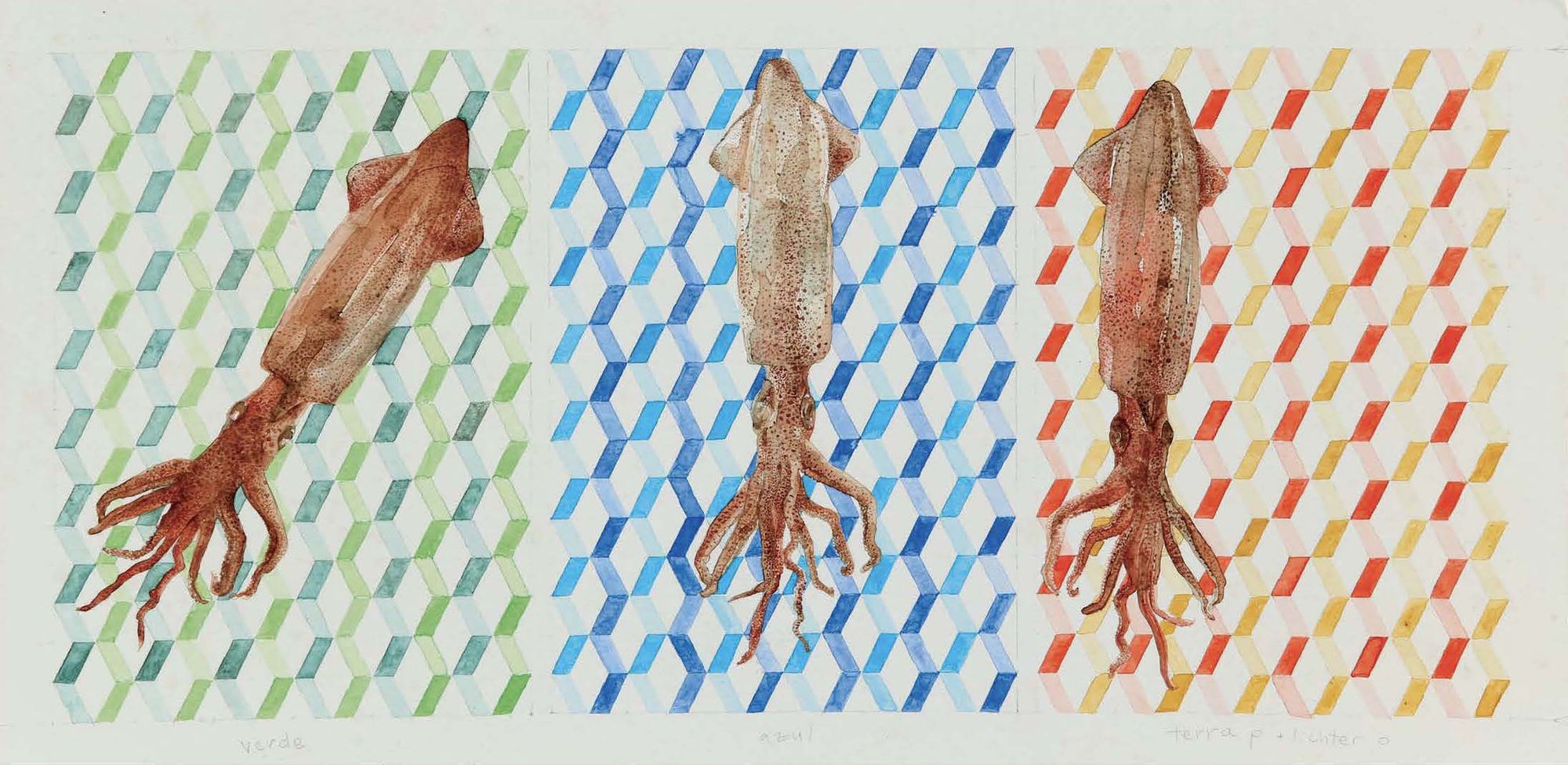 Verde, Azul, Terra P+ Lichter, 2016