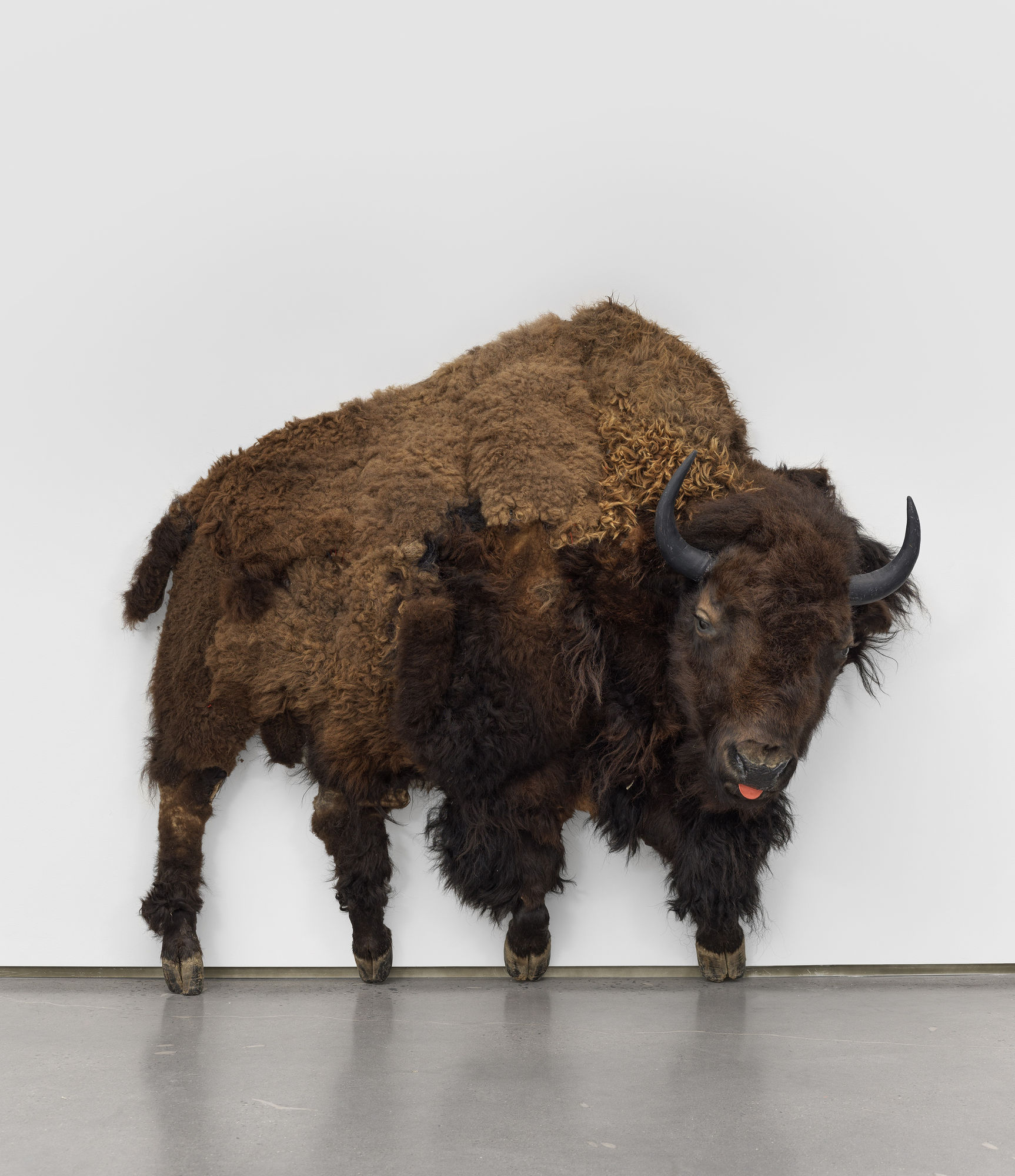 Mike Shultis: Déjà vu