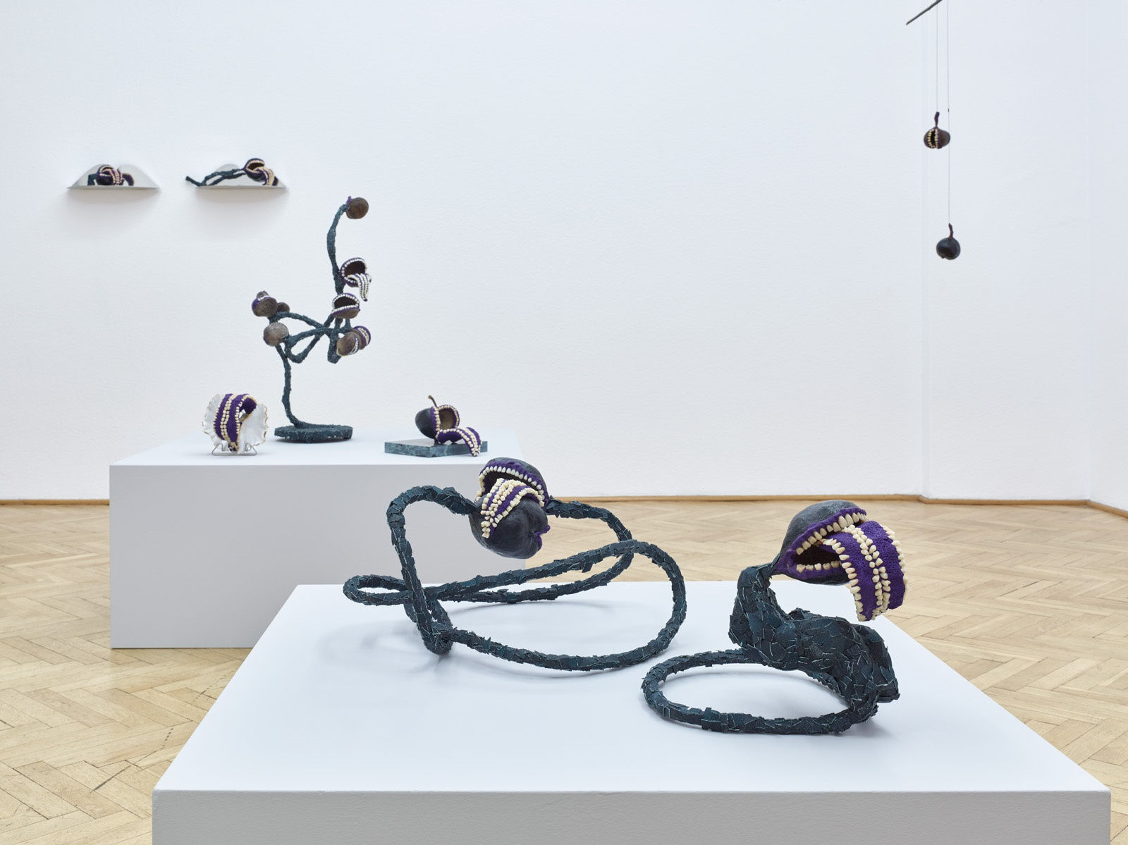 → Ludzie, Zęby | People, Teeth by PRZEMEK BRANAS Installation view from Ludzie, Zęby | People, Teeth