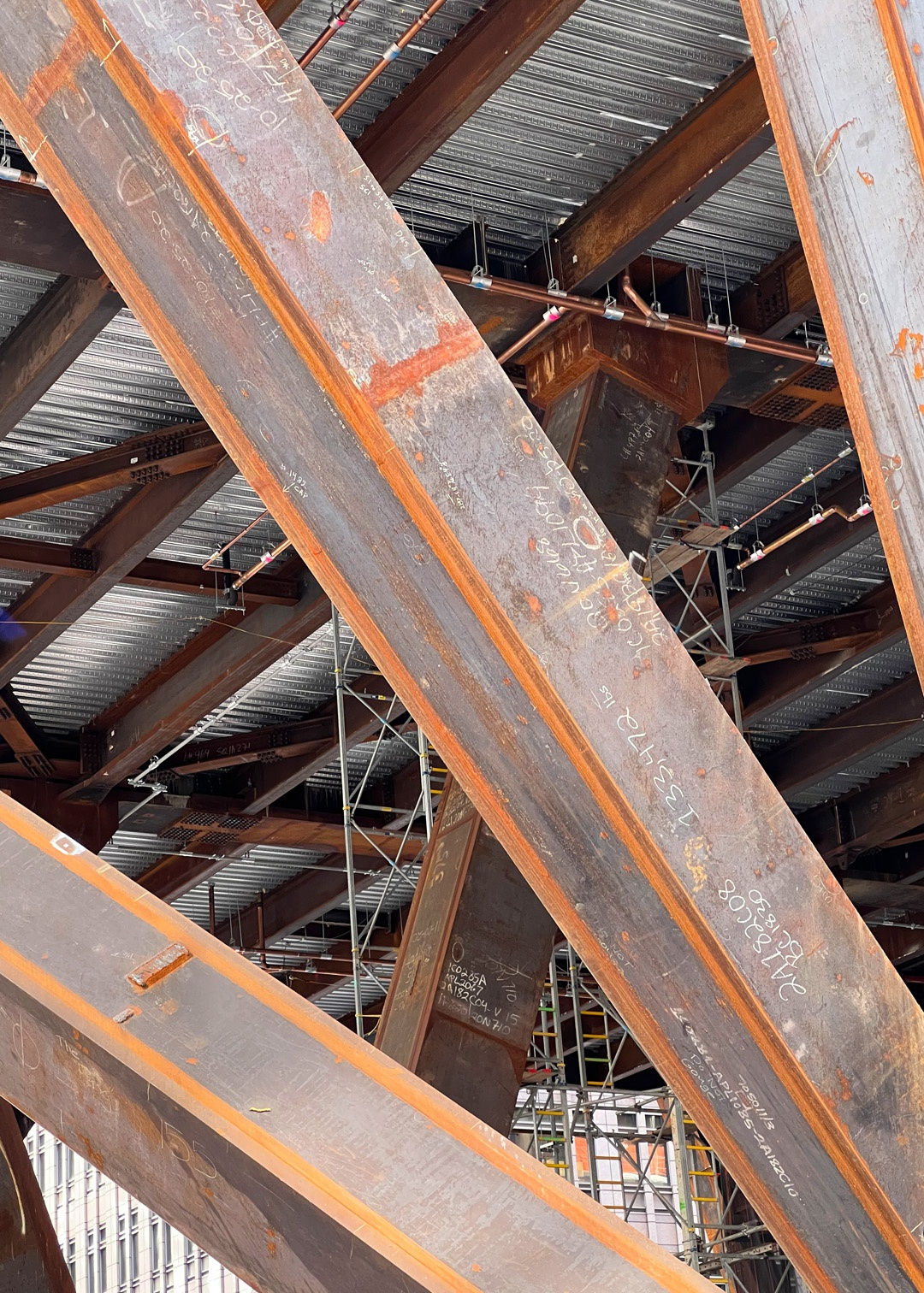 Bone, Flesh & Skin II, 2022