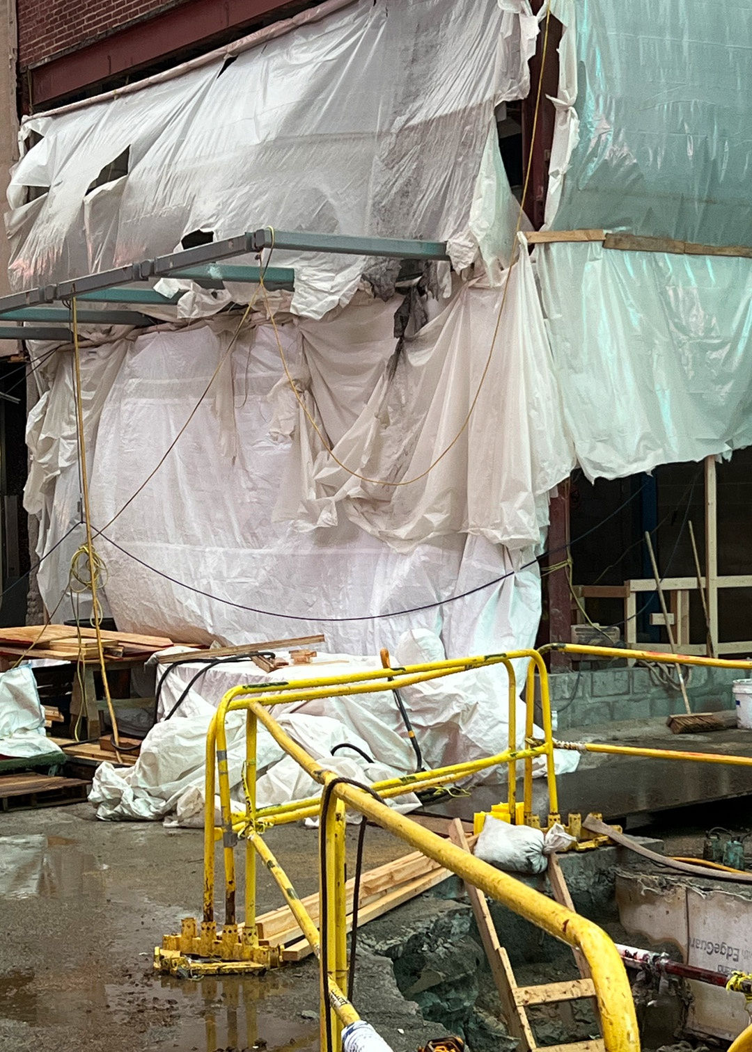 Bone, Flesh & Skin III, 2022