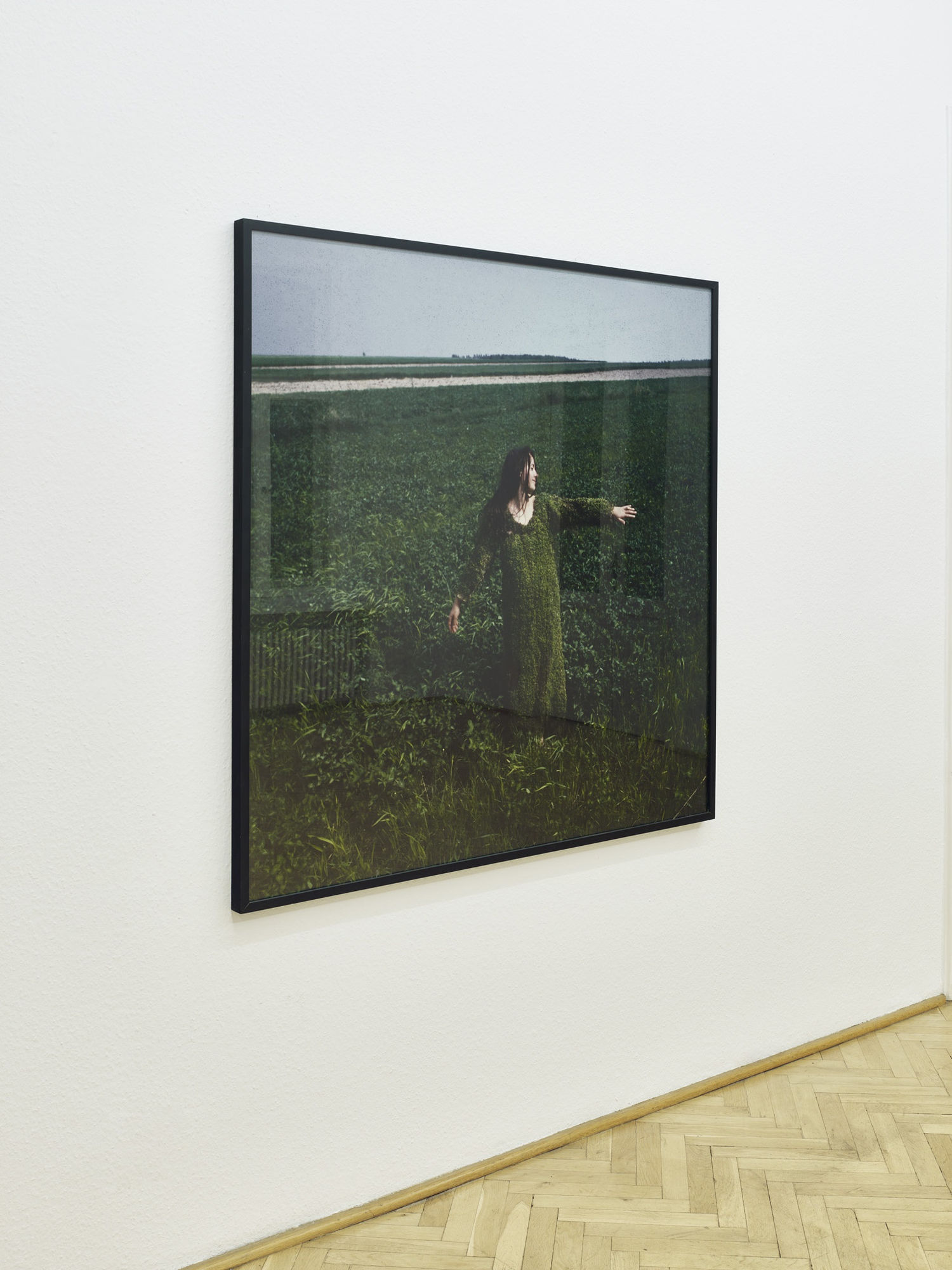 Teresa Murak: solo exhibition