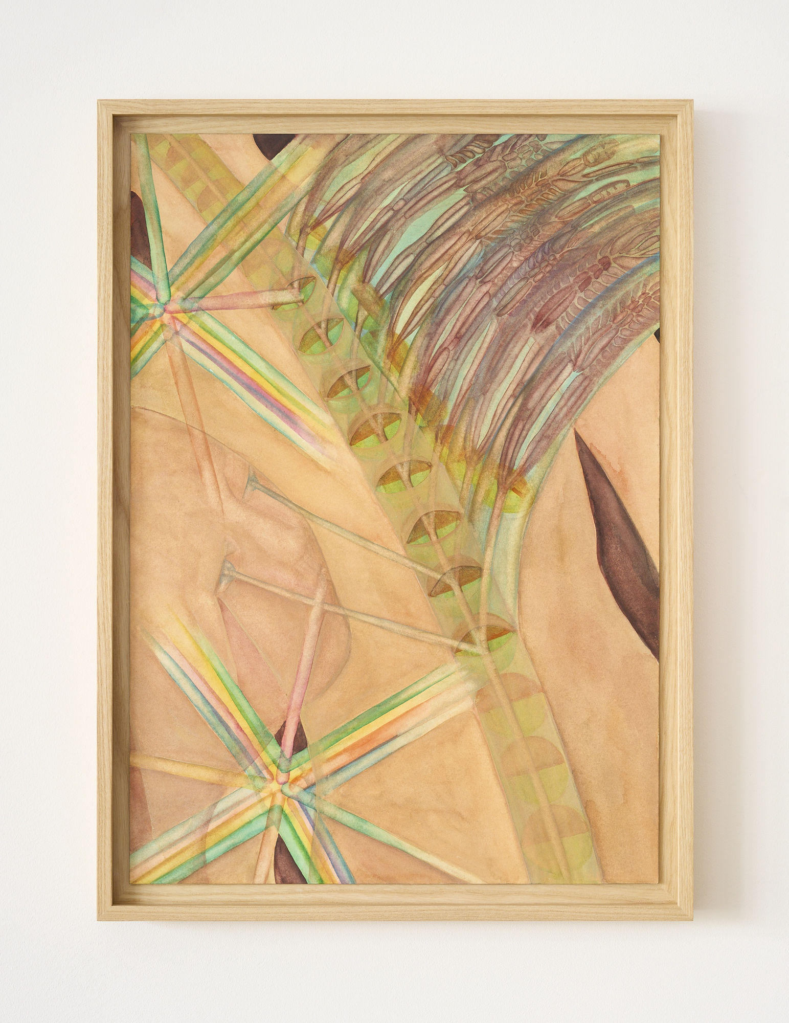 Veronika Hapchenko operation(spine), 2025 Watercolor on paper 51 x 36 cm