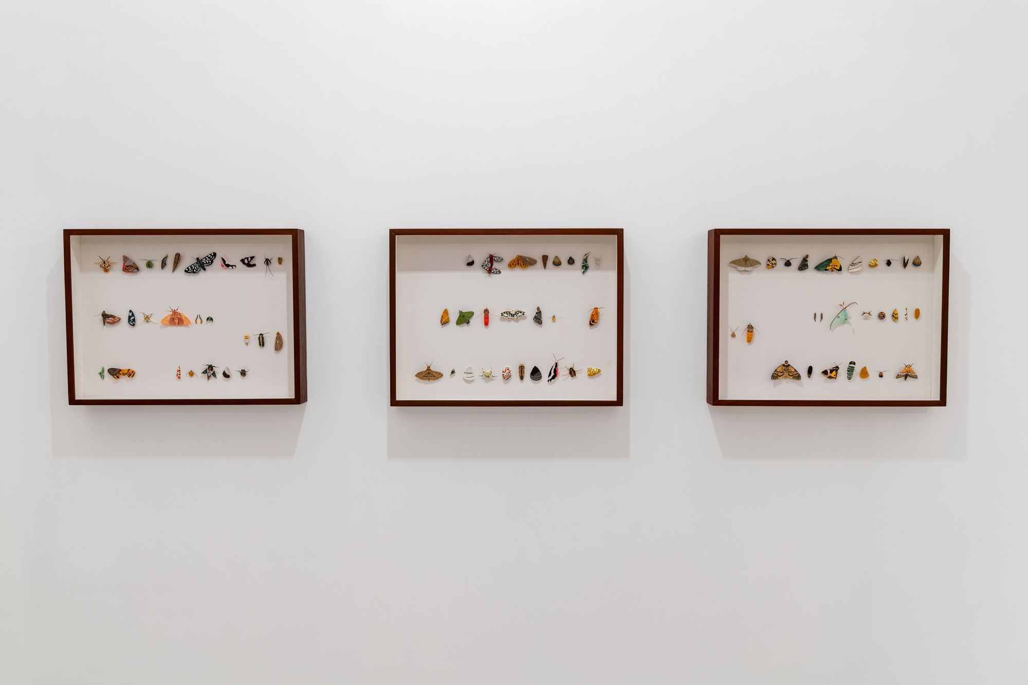 Ephemeroptera: Time After Time