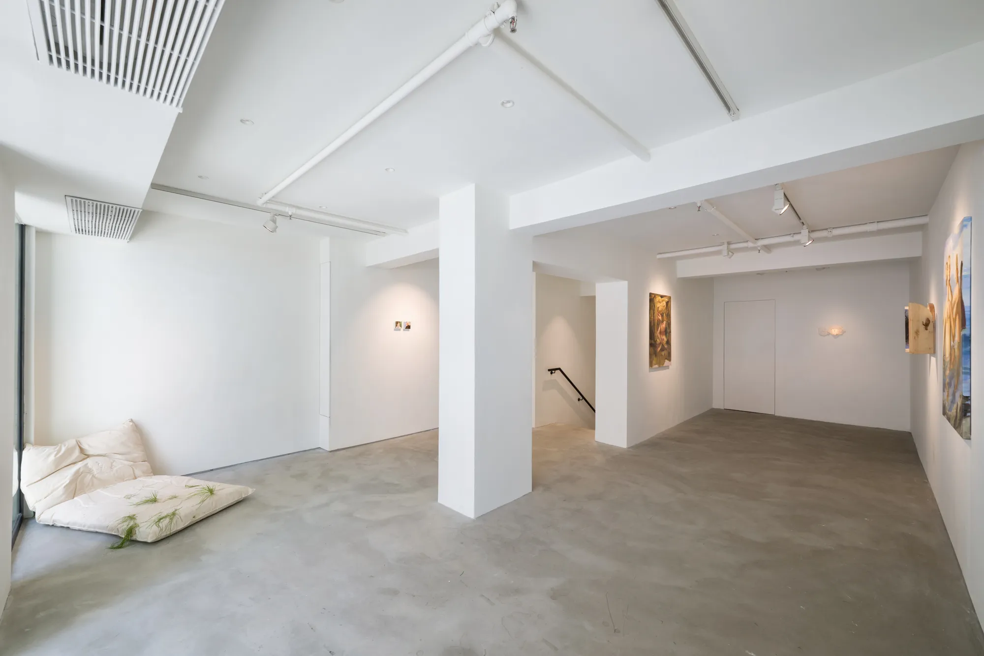 Luca Sára Rózsa: Last Trip to the Amazon