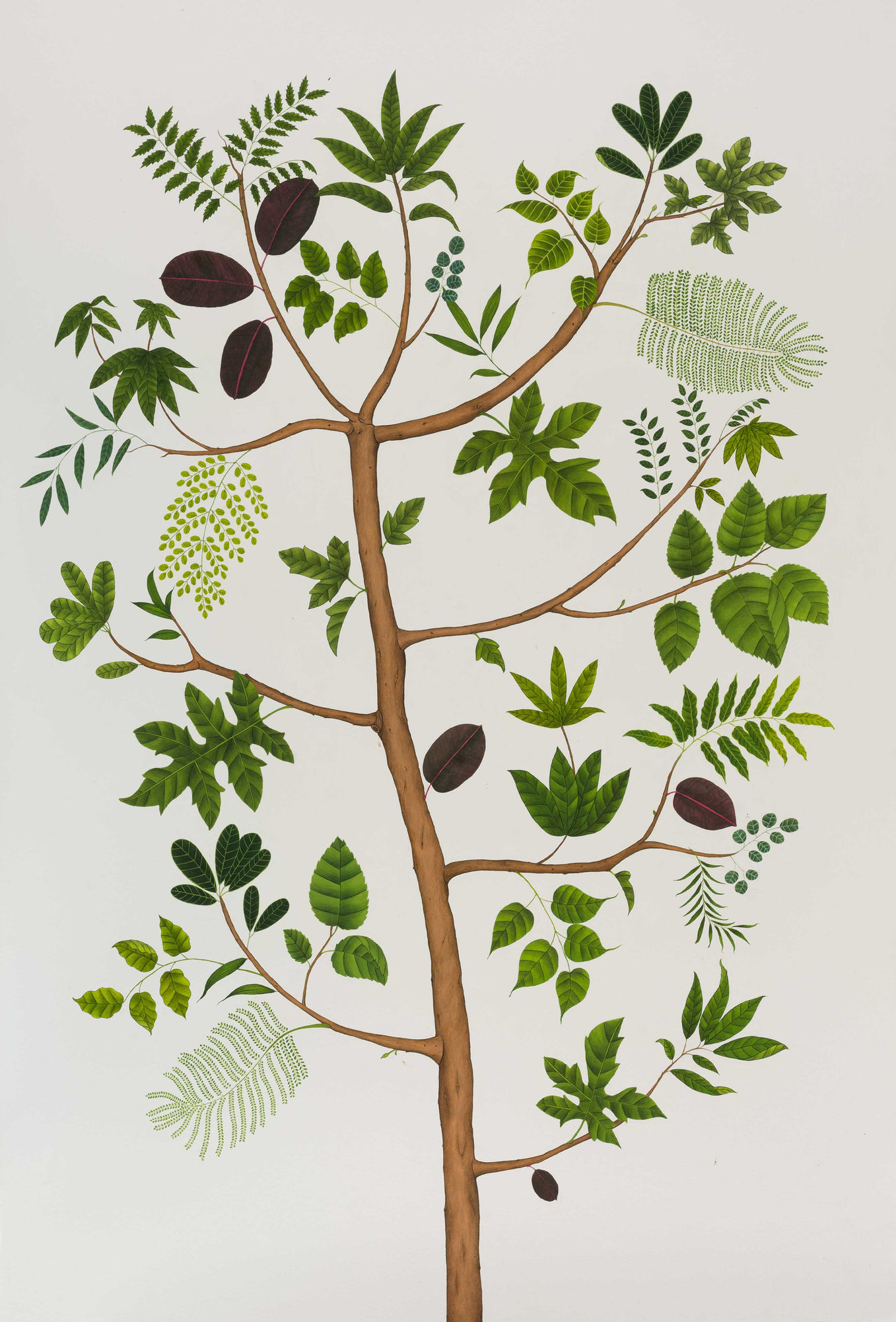 Maryam Baniasadi, Tree of life, 2022