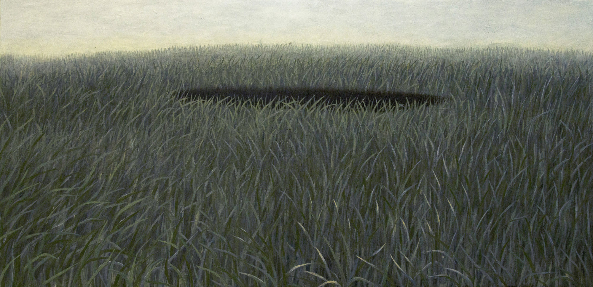 Anahita Darabbeigi, The wound, 2022