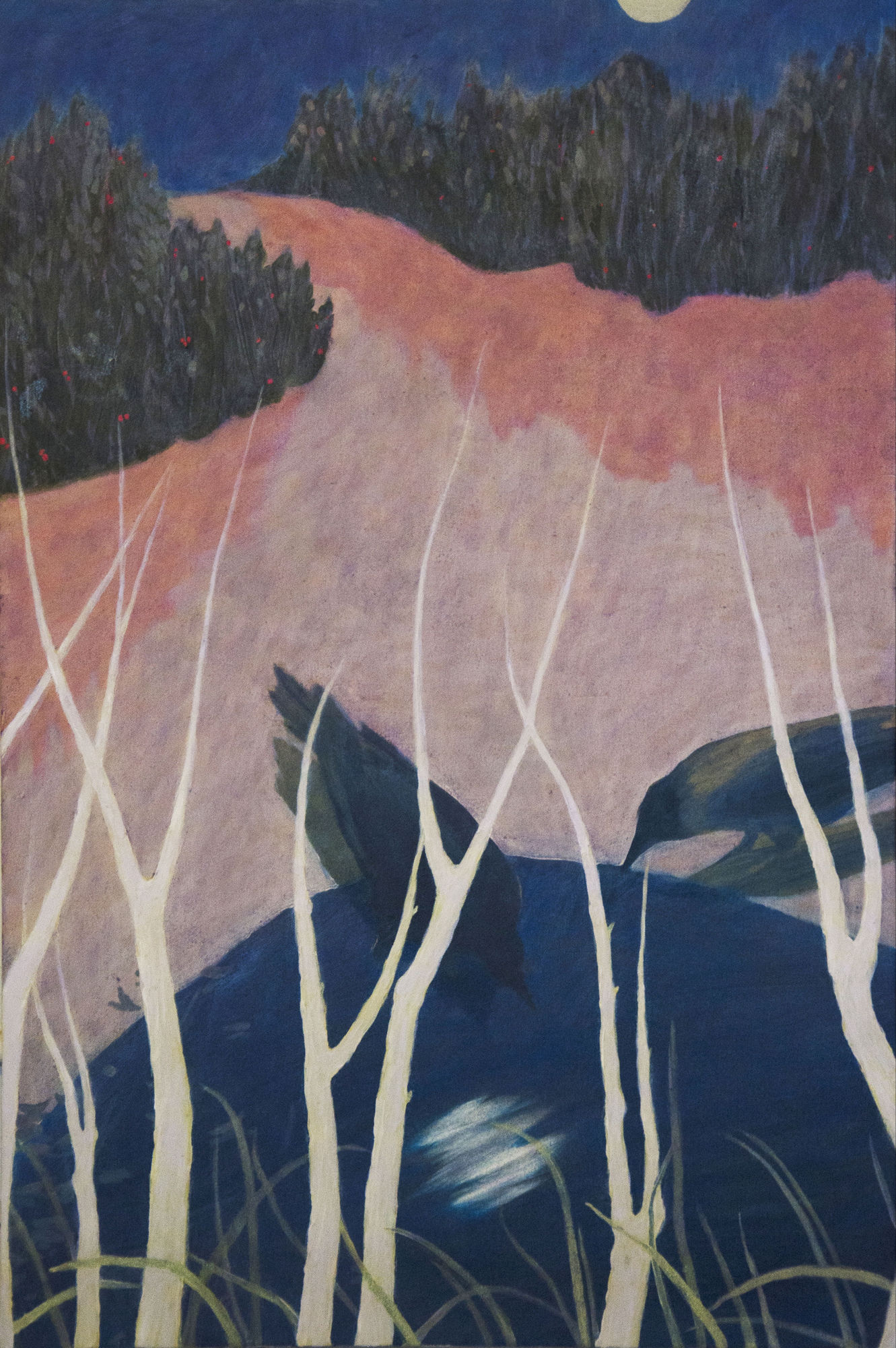 Anahita Darabbeigi, Yakamoz, 2022