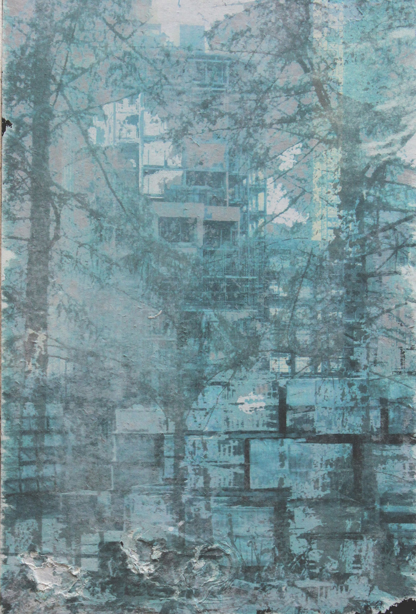 Jeroen van Dooren, Fred Robeson, Building Croydon, 2016