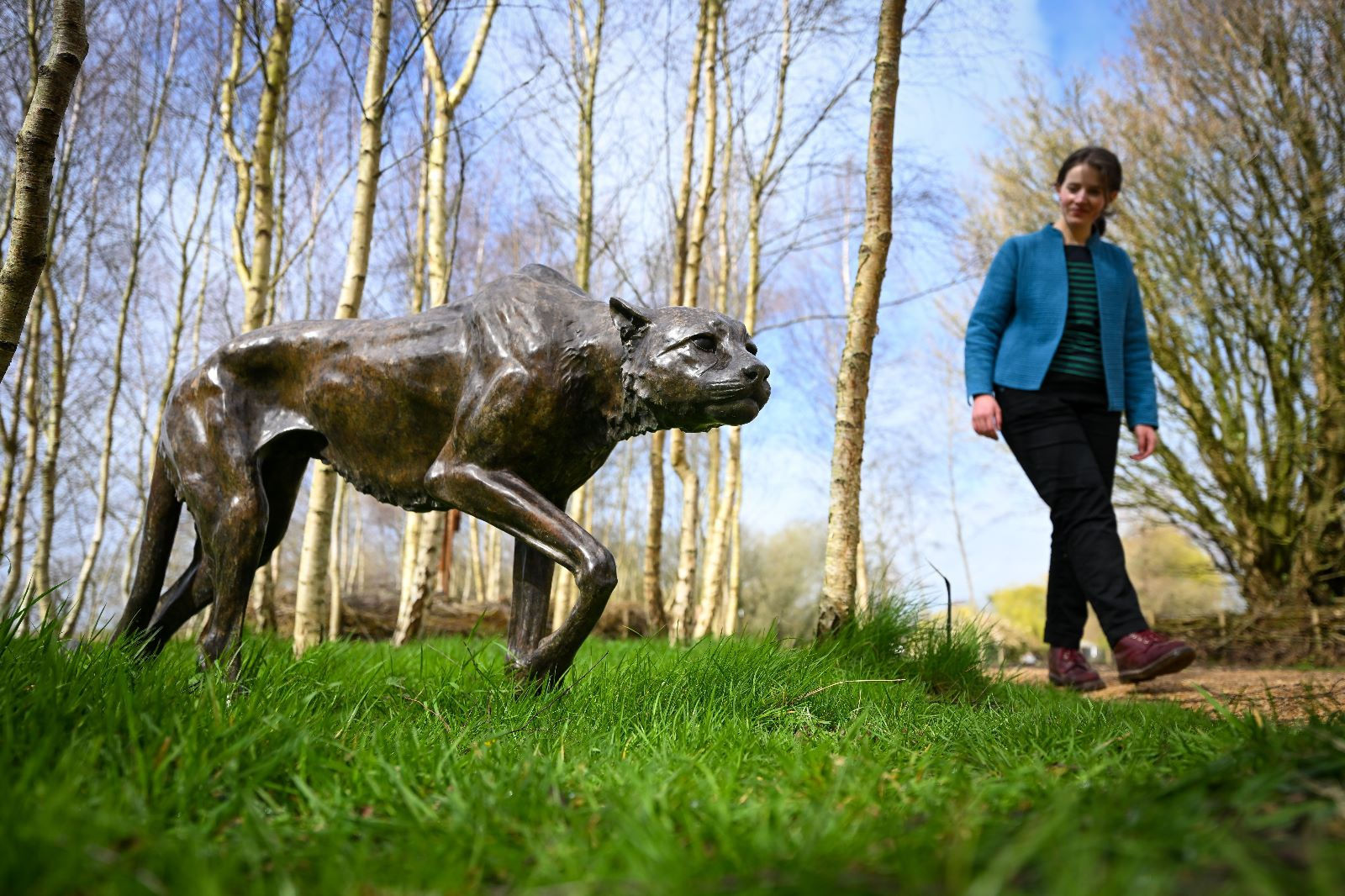 Cheetah by Gill Parker. Photo by Finnbarr Webster