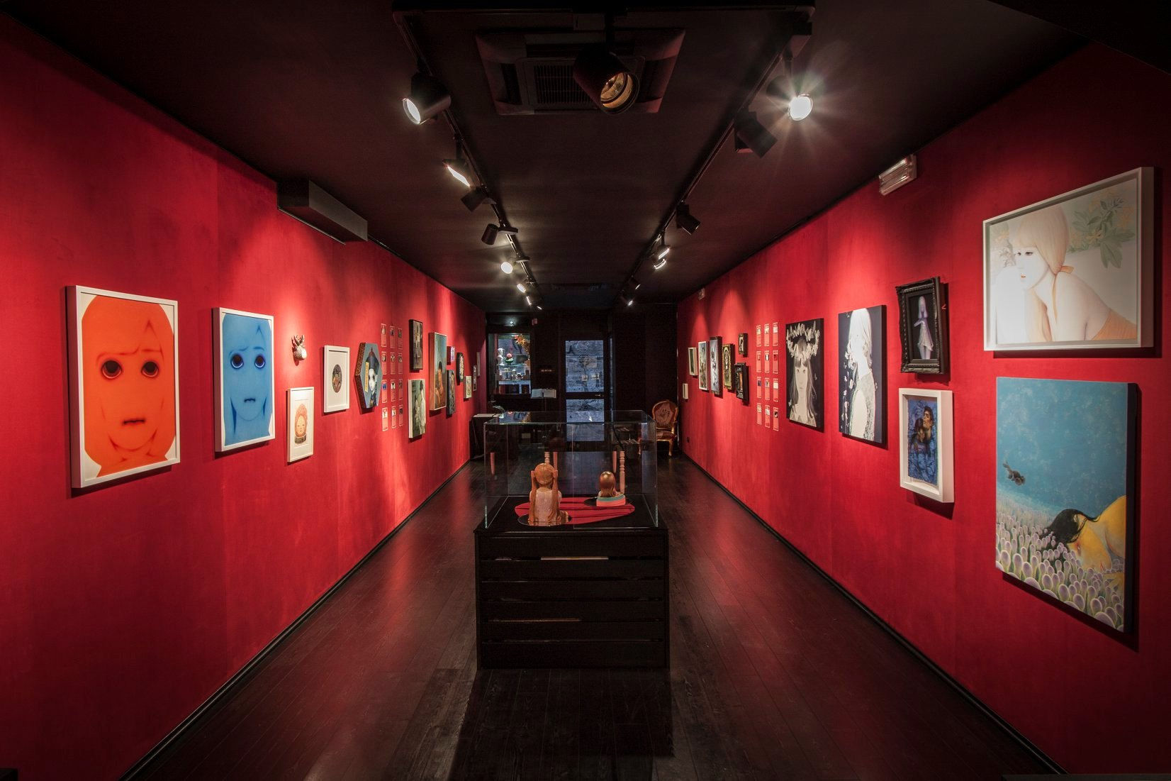 HOUSE OF THE RISING LIGHT