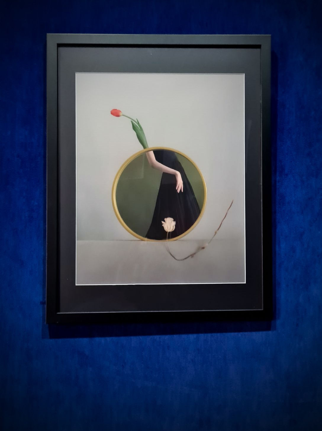 HOUSE OF THE RISING LIGHT