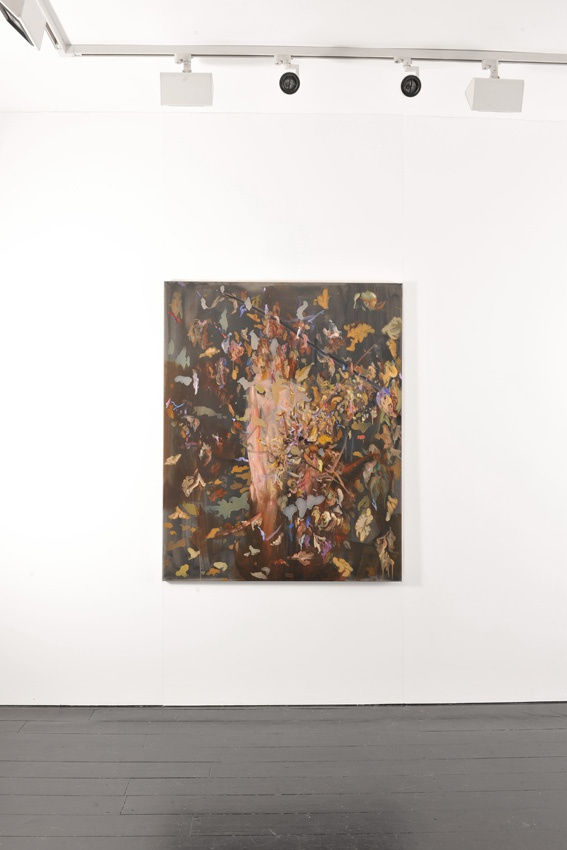 The Mountain where Whales once Lived