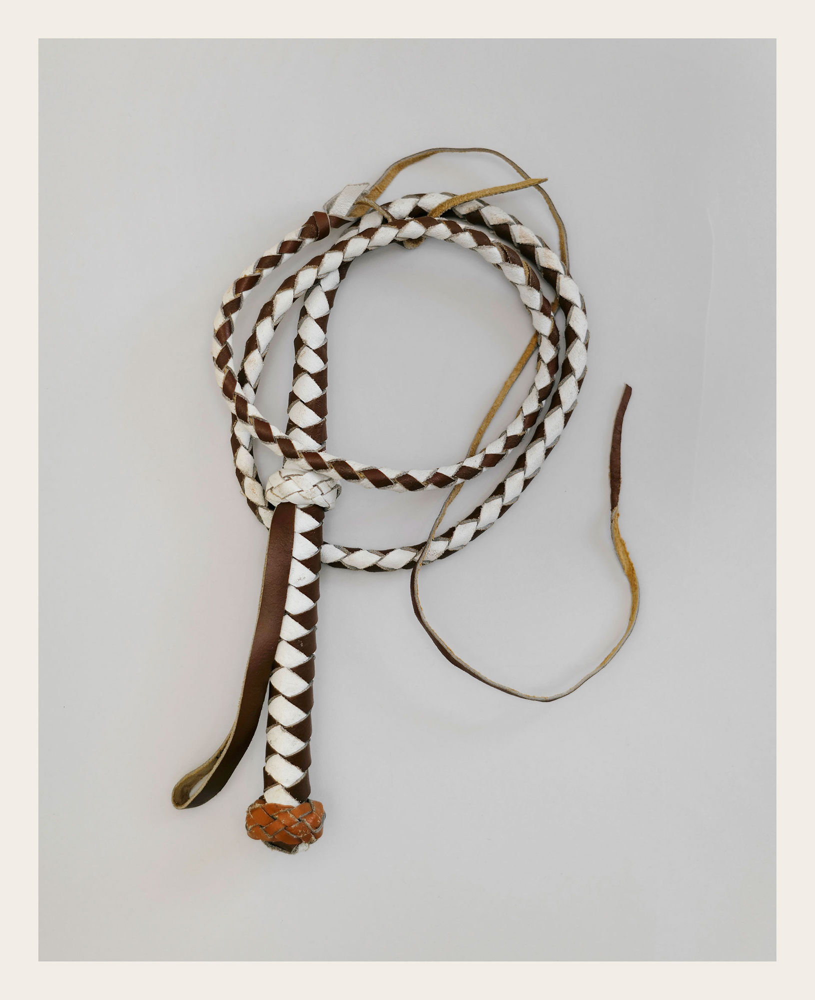 Bullwhip braided brown and white leather.