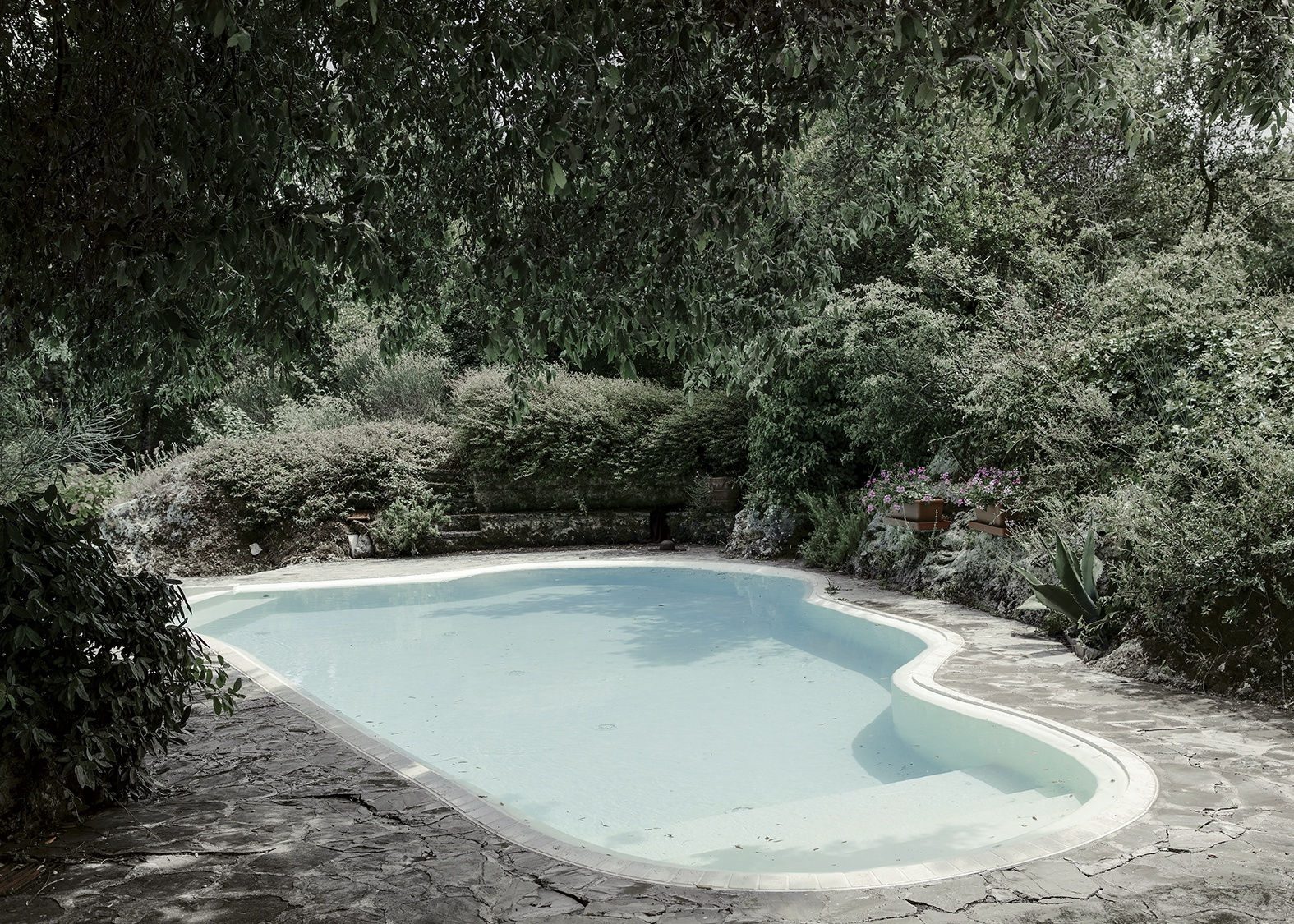 The Swimming Pool The Woman Who Never Existed 2016