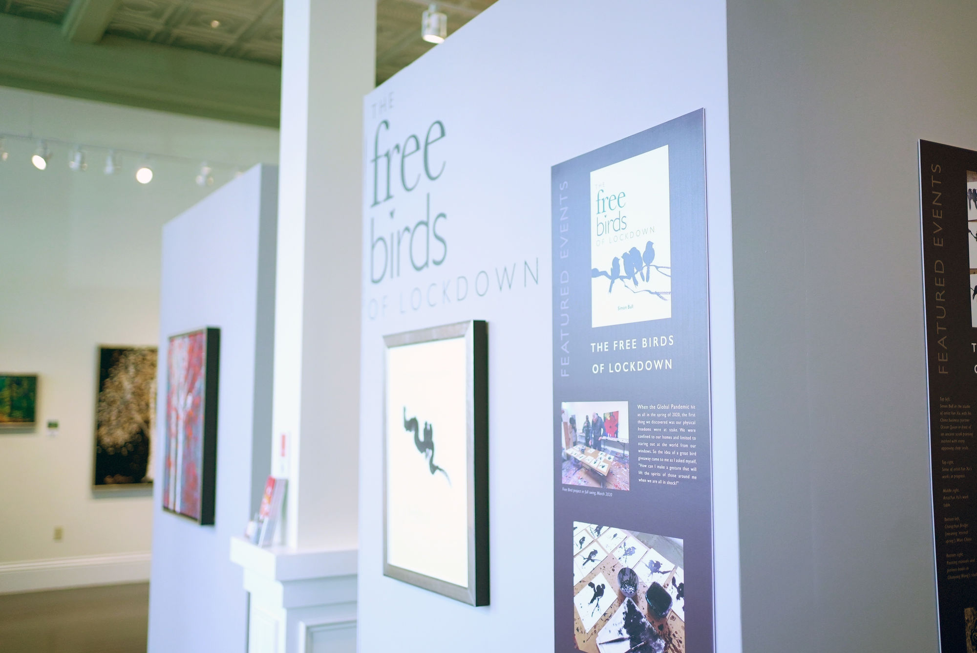 Free Birds of Lockdown Exhibition