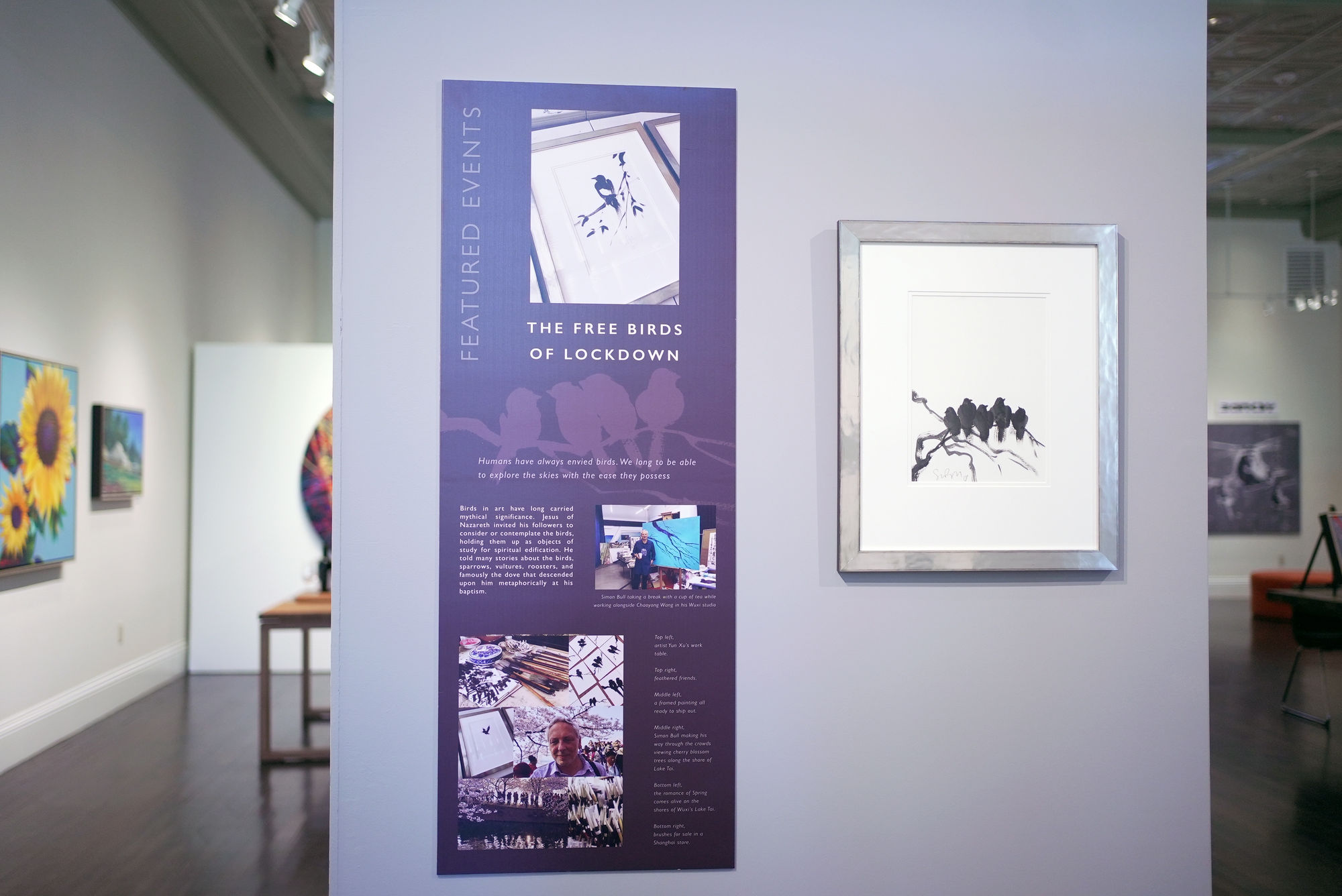 Free Birds of Lockdown Exhibition