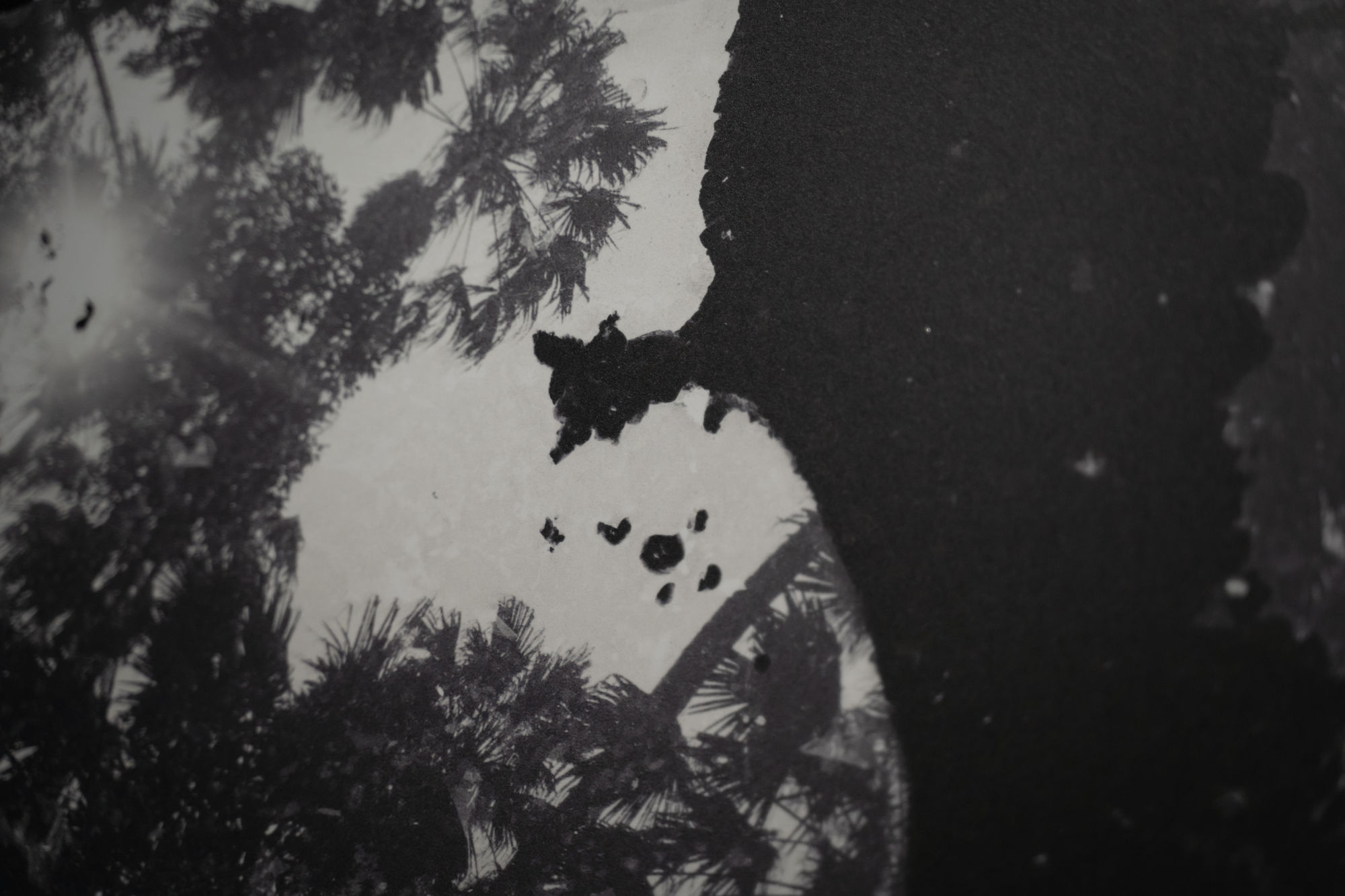 the FROZEN ธาราพันลึก