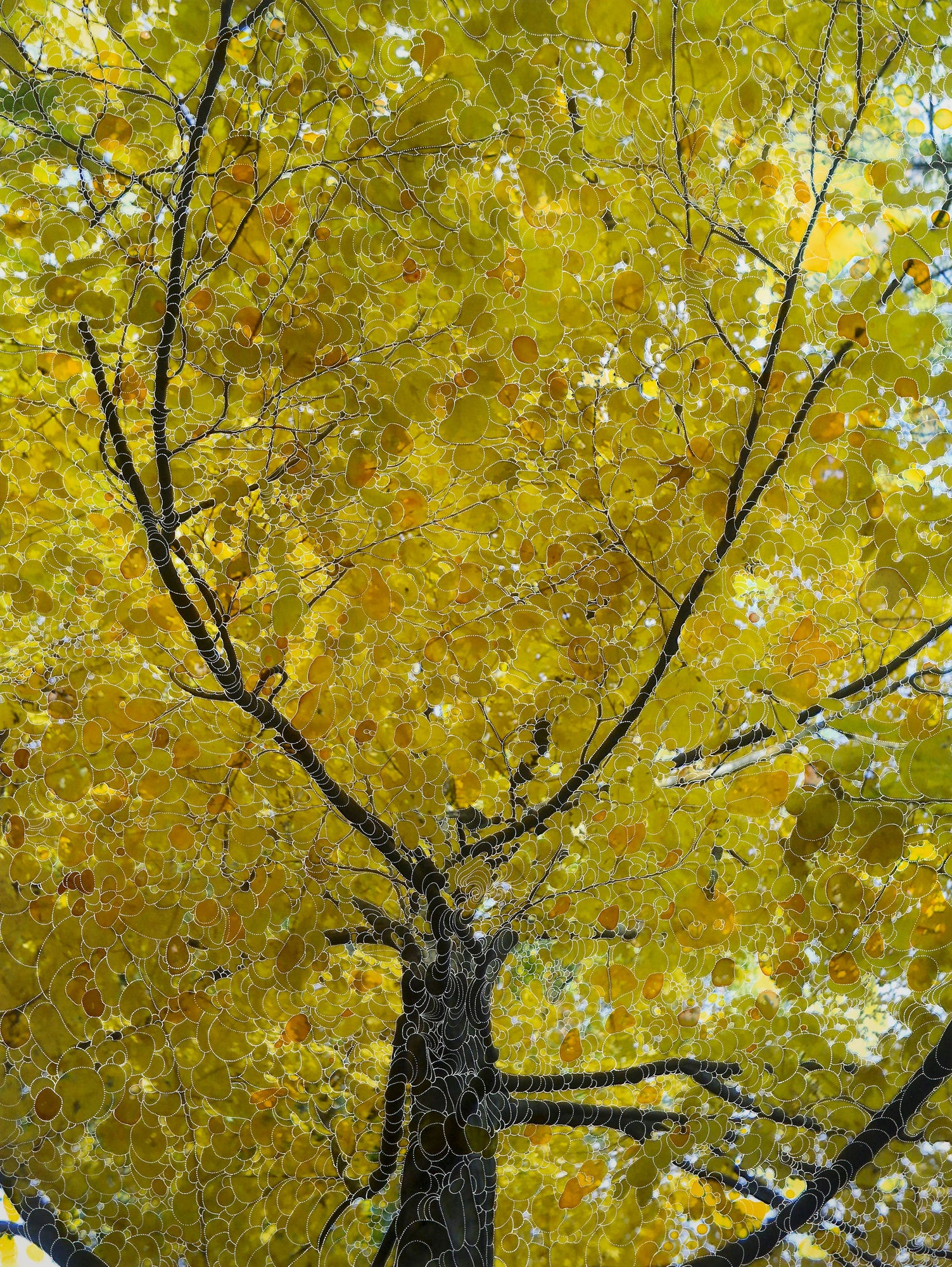 Sebastiaan Bremer, Lemon tree, 2013, Unique hand-painted chromogenic print with mixed media, 101.6 x 76.2 cm, 40 x 30 in, Framed: 113 x 86 x 5 cm, 44 1/2 x 33 7/8 x 2 in