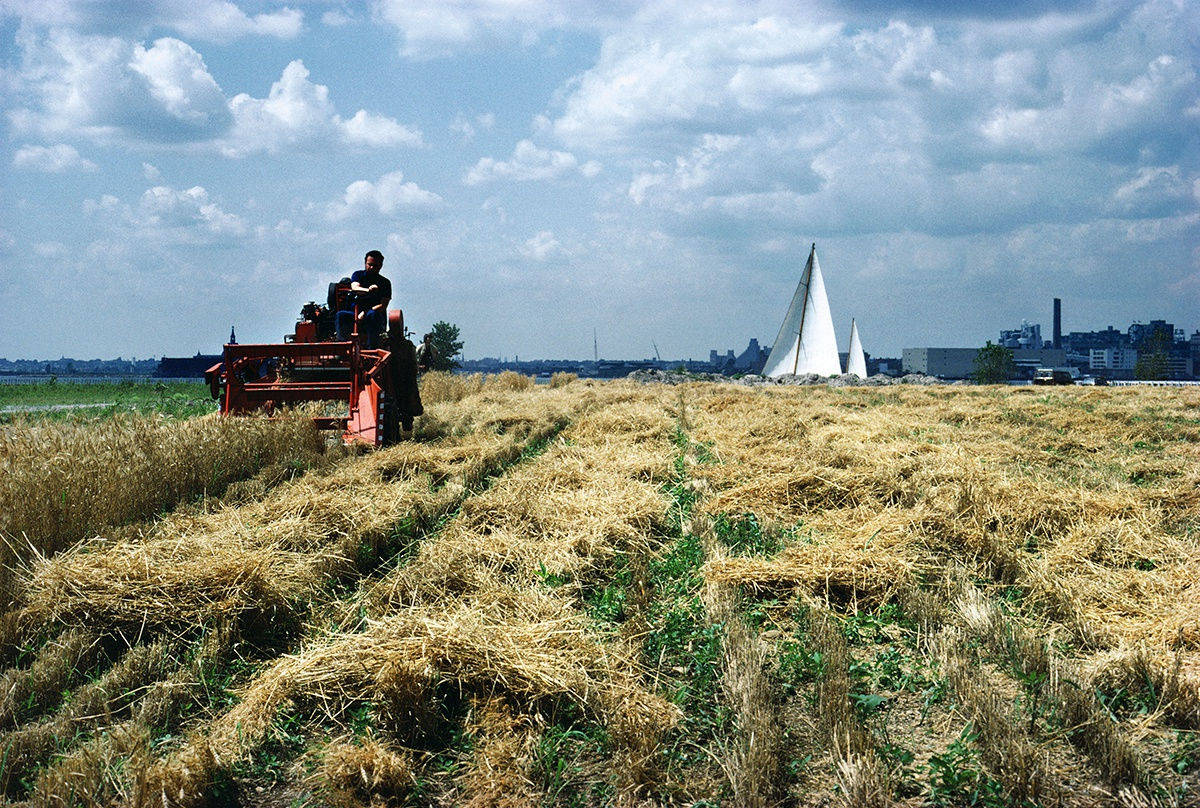  Agnes Denes, Wheatfield – A Confrontation: Battery Park Landfill, Downtown Manhattan – Harvest with Sailboat, 1982