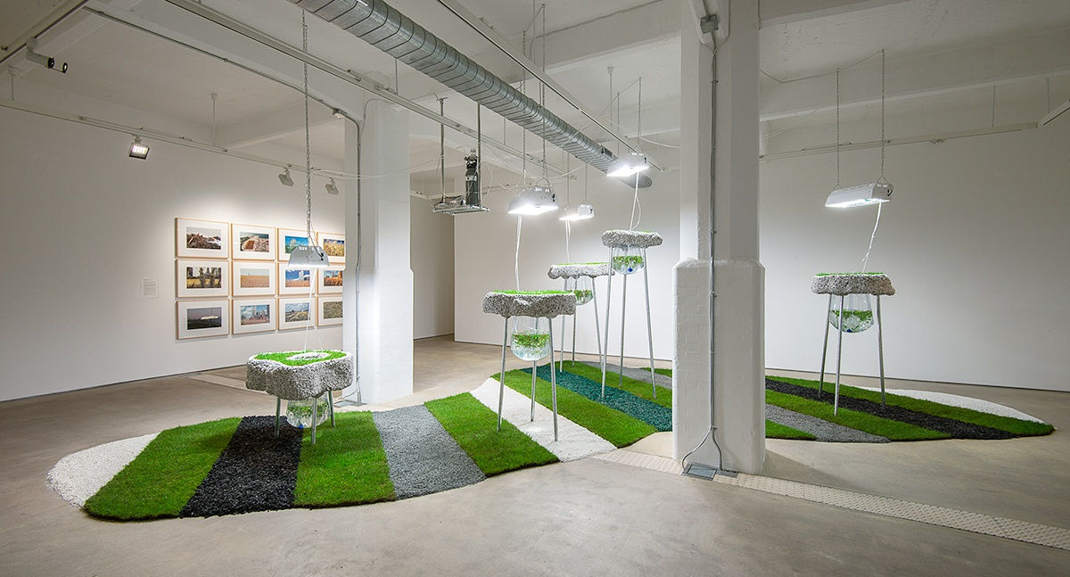 Installation view of Rachael Champion, Agnes Denes, and Rachel Pimm at Hales London