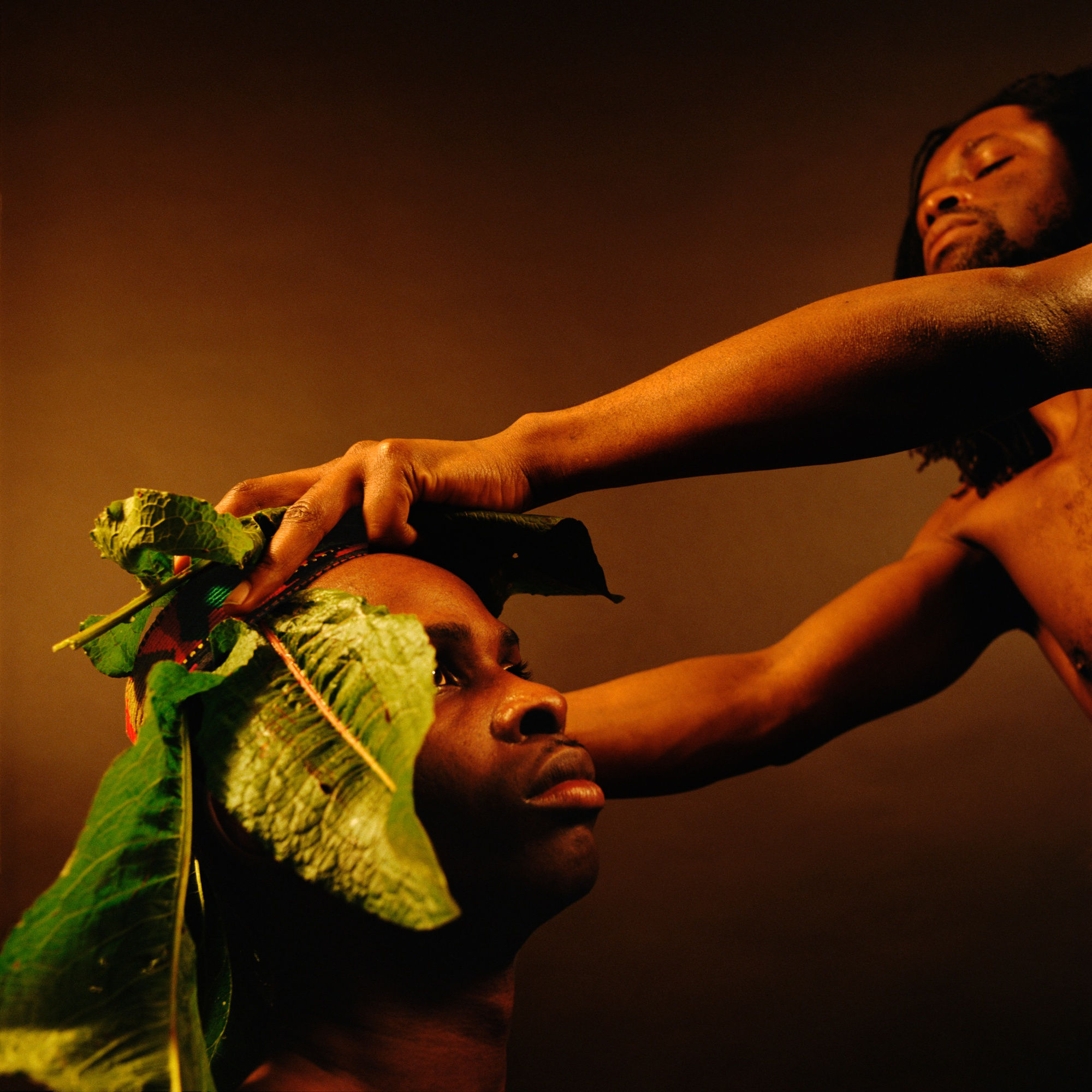 Rotimi Fani Kayode, Nothing To Lose Xiii Bodies Of Experience, 1989