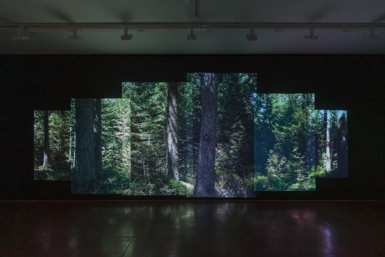 Andrea Geyer, plein-air, Hales New York, 3 February - 11 March 2023 