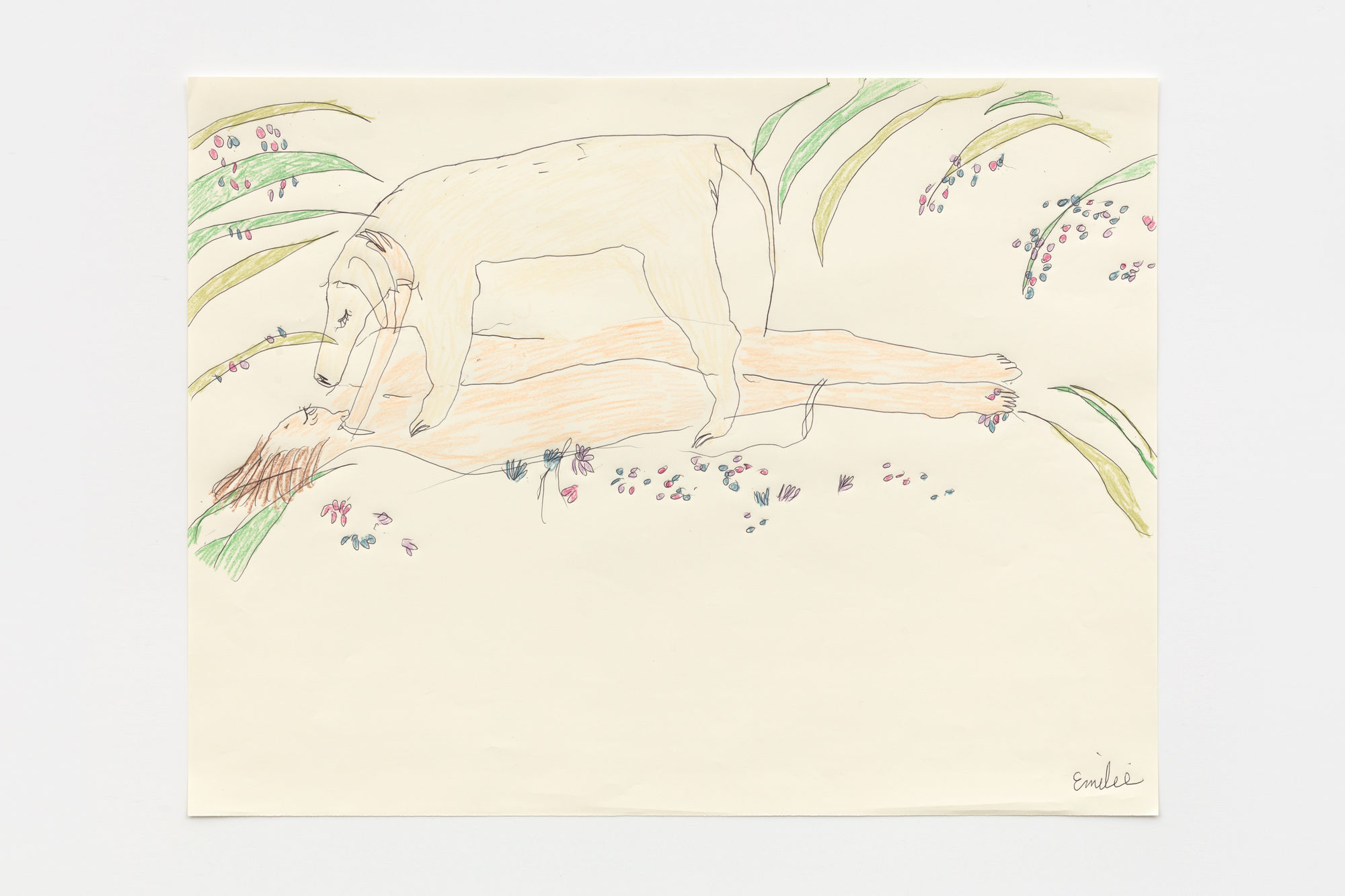 Drawing of a dog standing over a woman lying in the grass. Both the woman and the dog have their eyes shut and are facing one another. Flowers and long leaves flow across the surface.