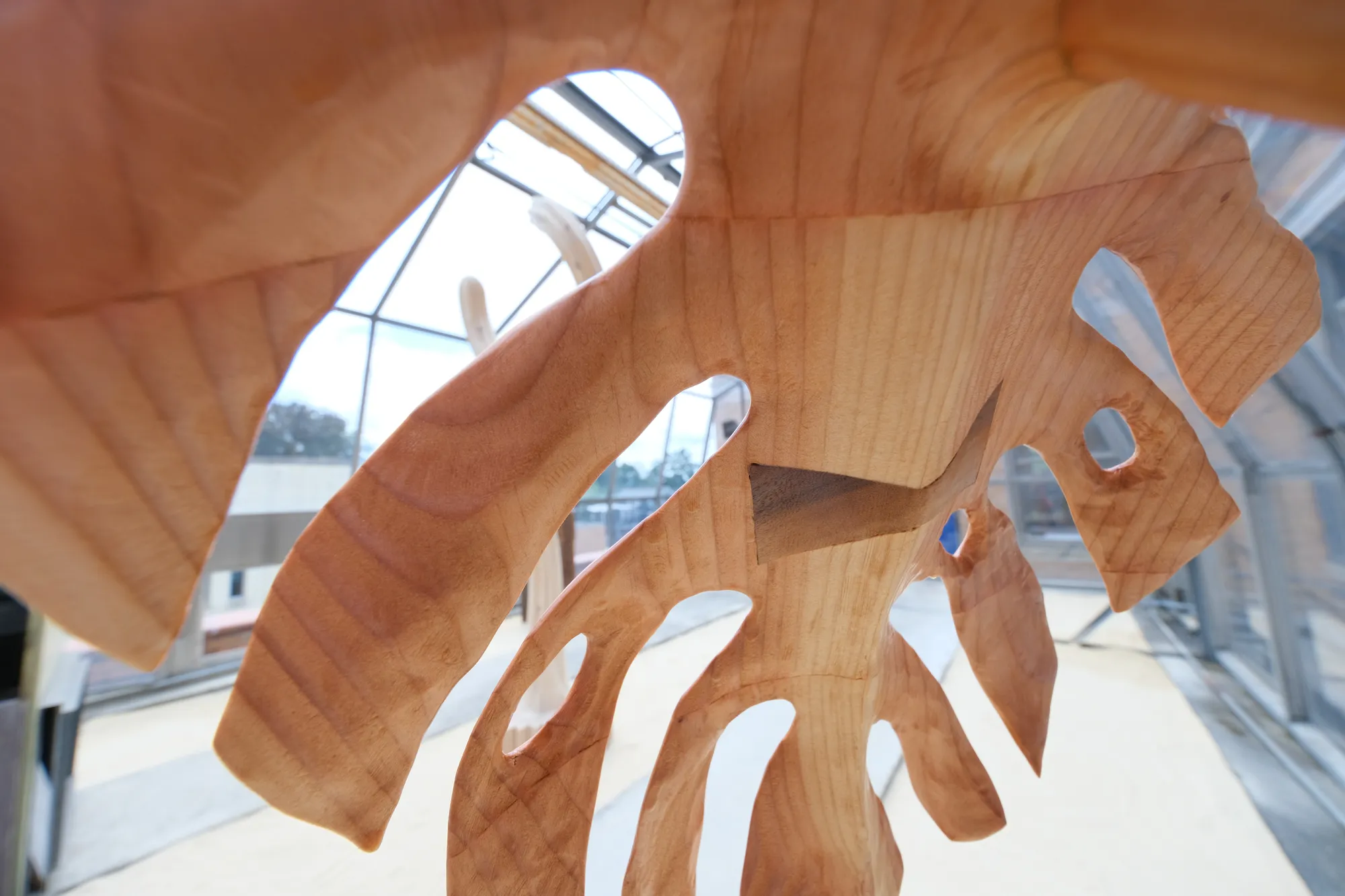 Some Things Never Grow Back: Raul de Lara in the Glass House