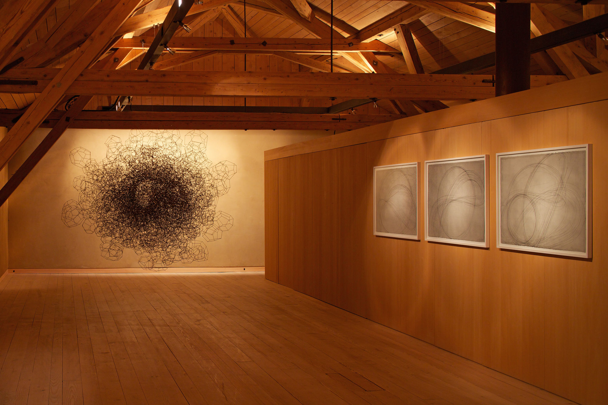 Antony Gormley "DRAWING"