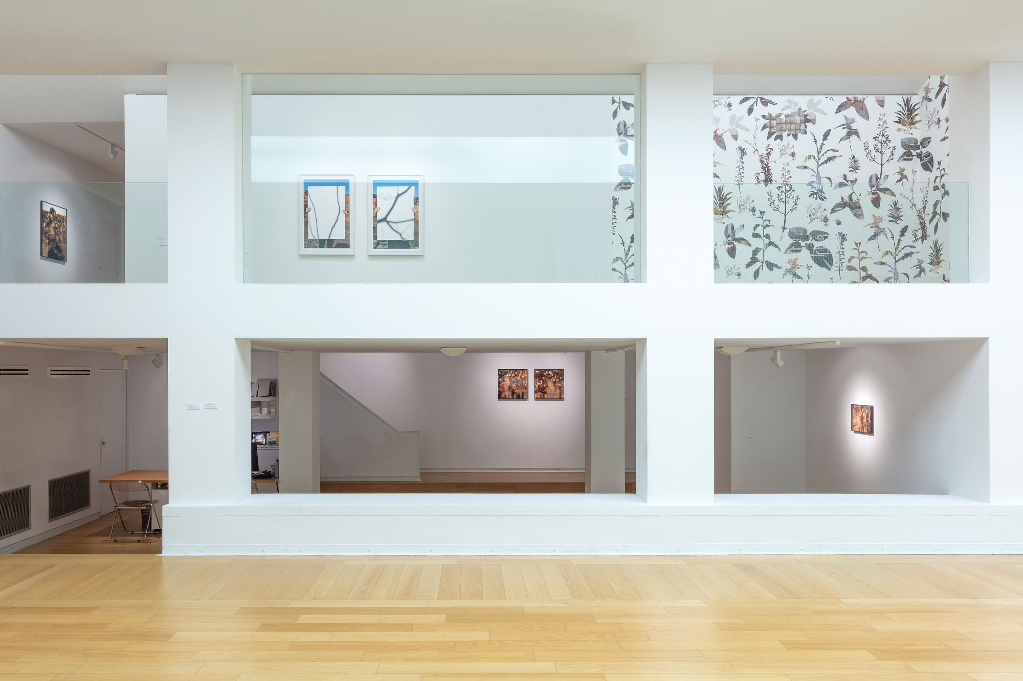 Igor Eskinja. I sogni della creazione