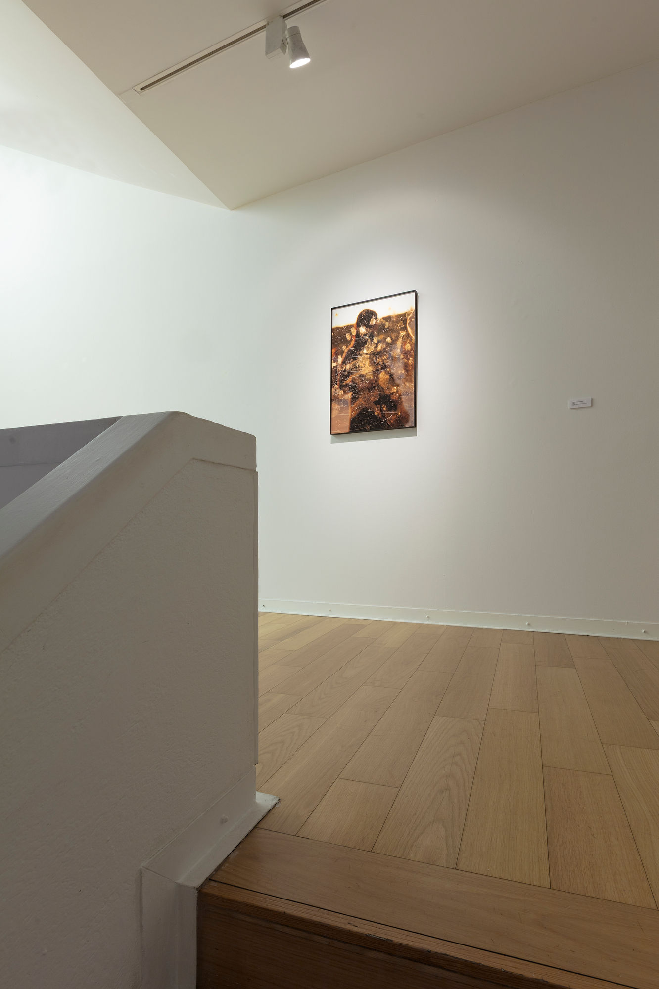 Igor Eskinja. I sogni della creazione