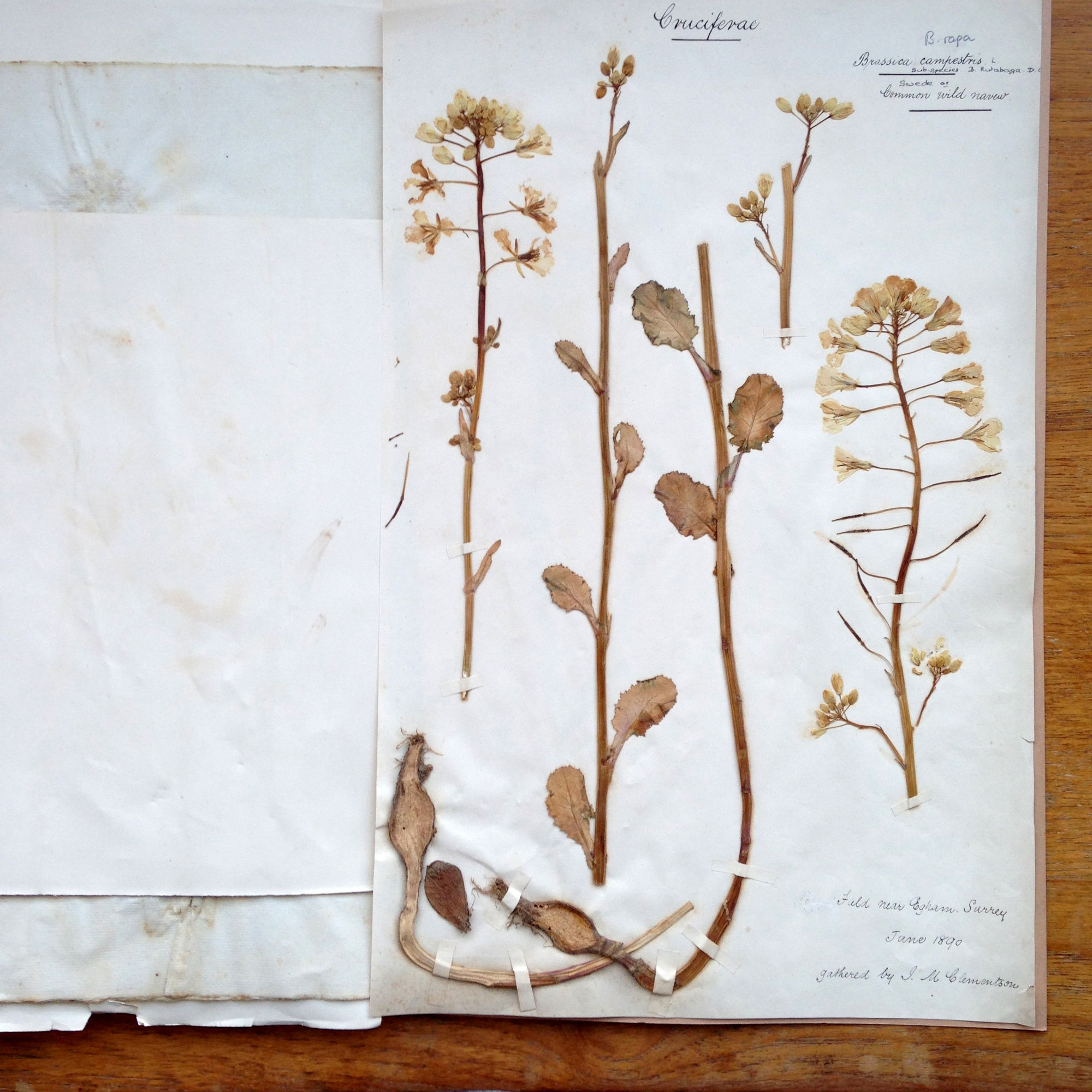 Royal Holloway University