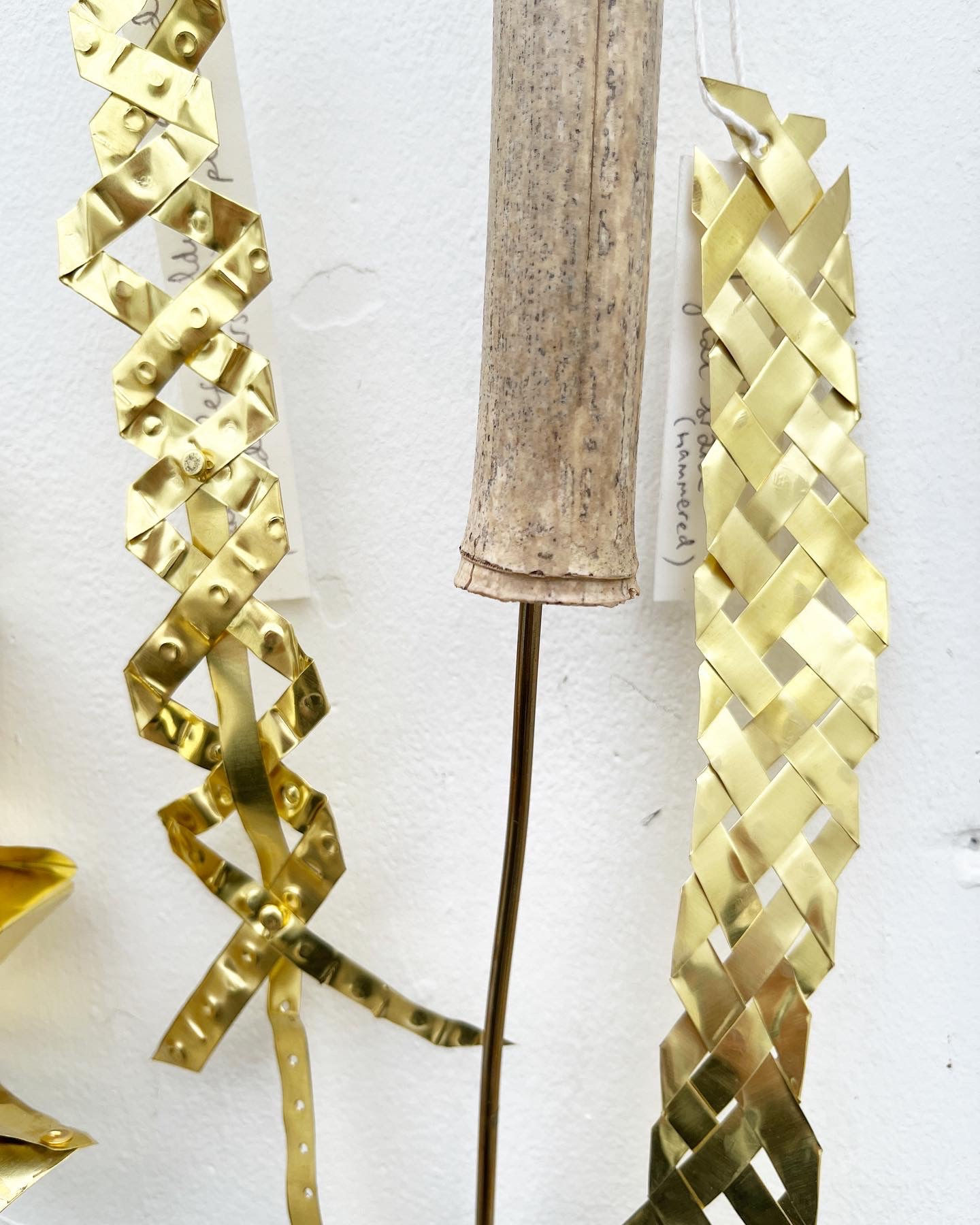 Ventnor Botanic Garden