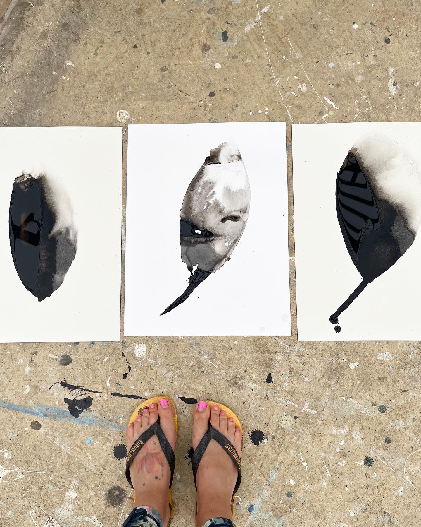 Ventnor Botanic Garden