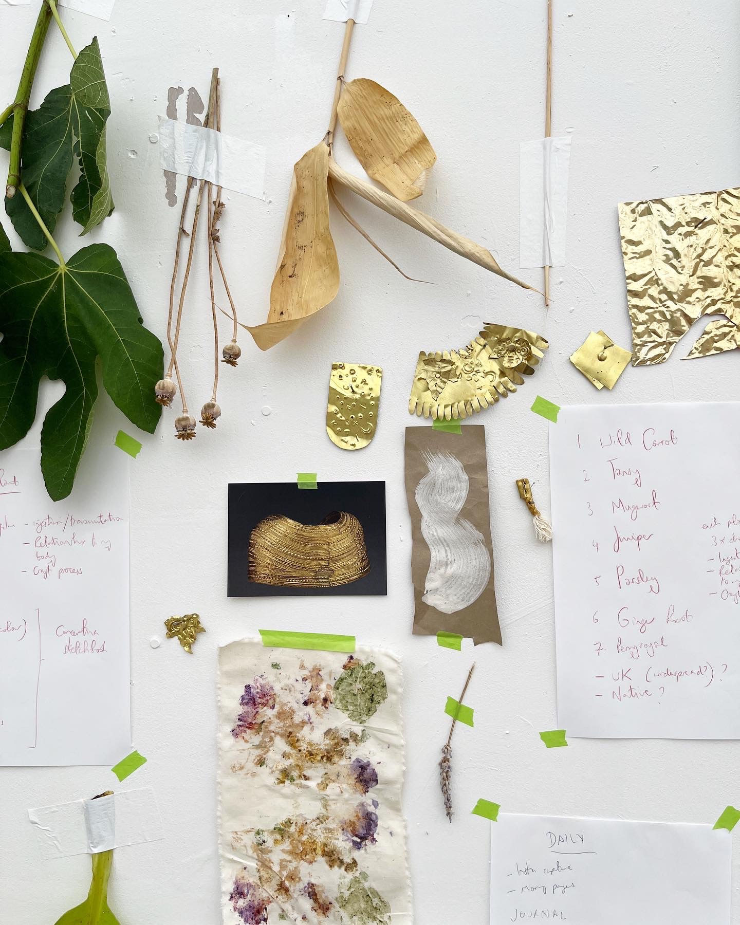 Ventnor Botanic Garden