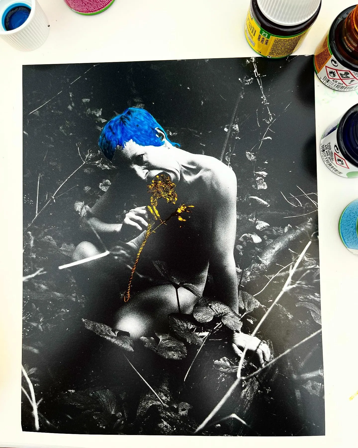 Ventnor Botanic Gardens