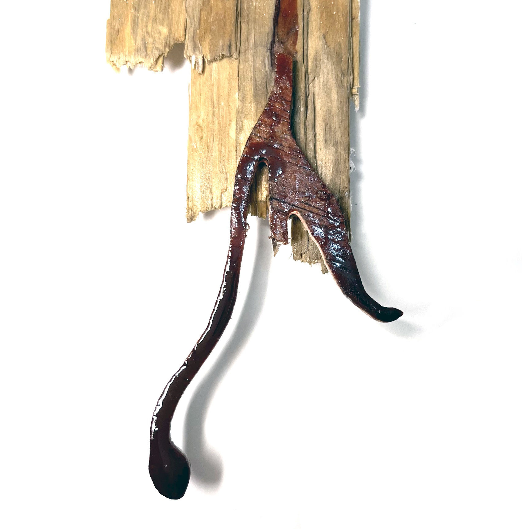 London Art Fair 2024