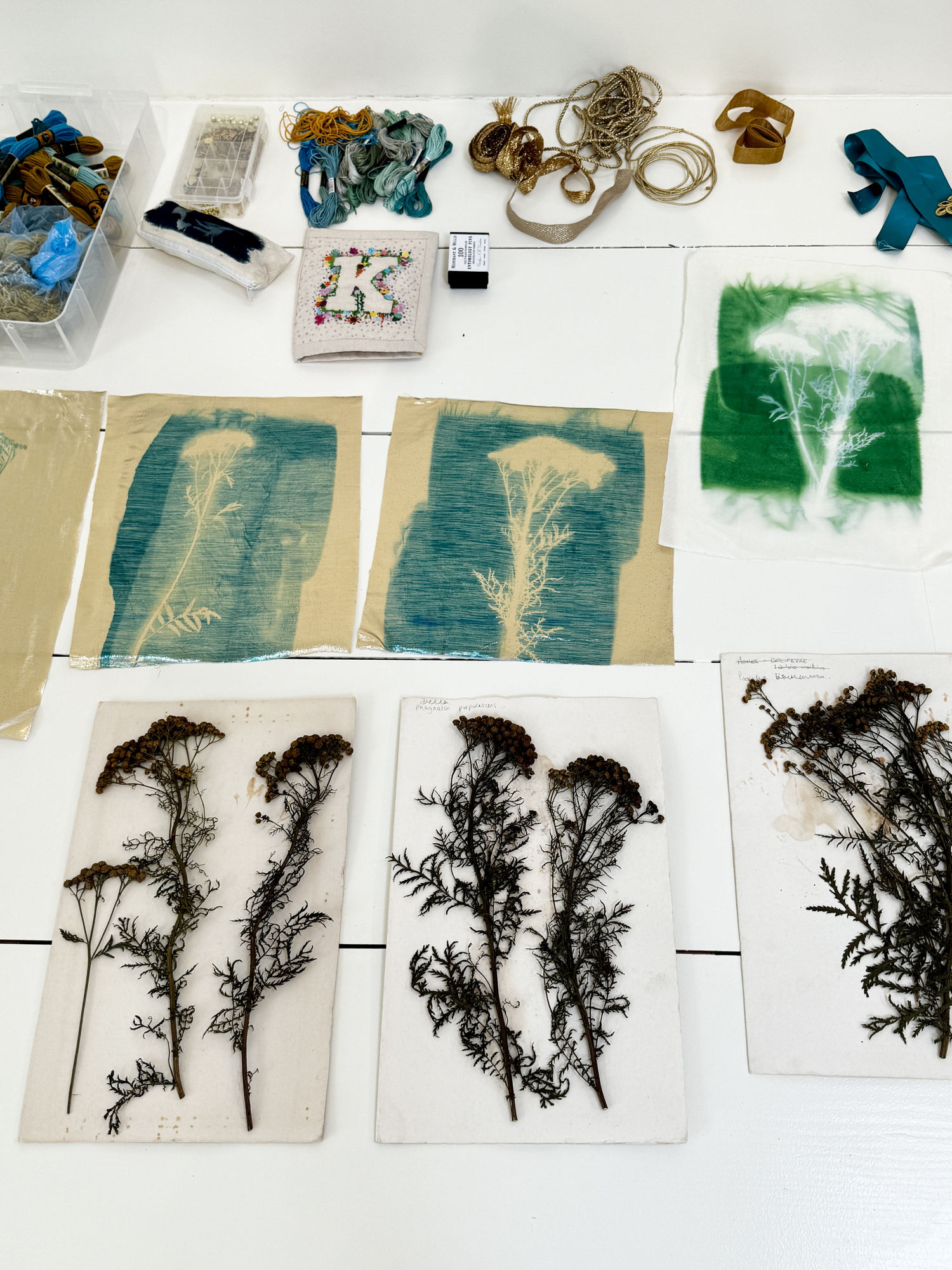 Xenia Creative Retreat