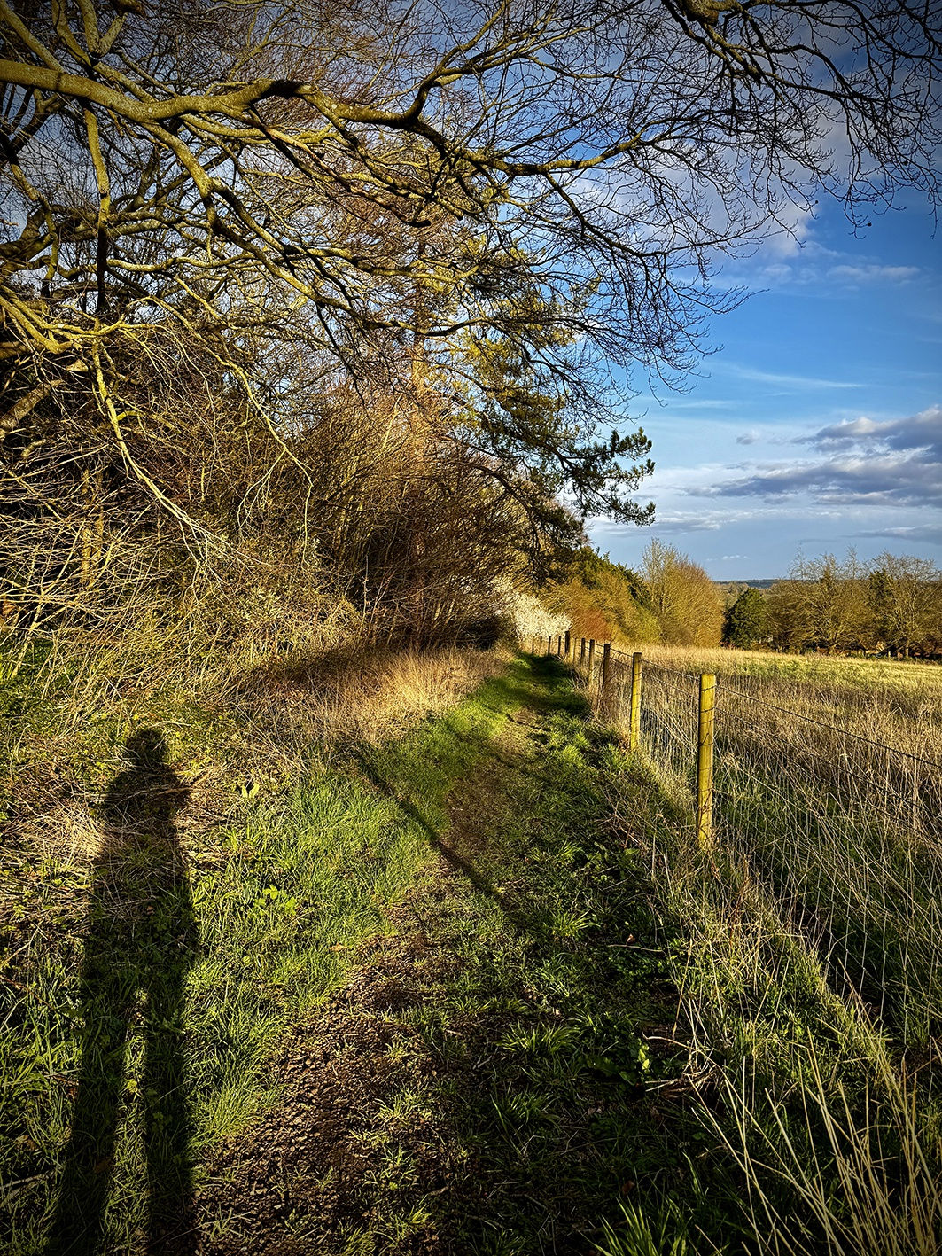 Xenia Creative Retreat