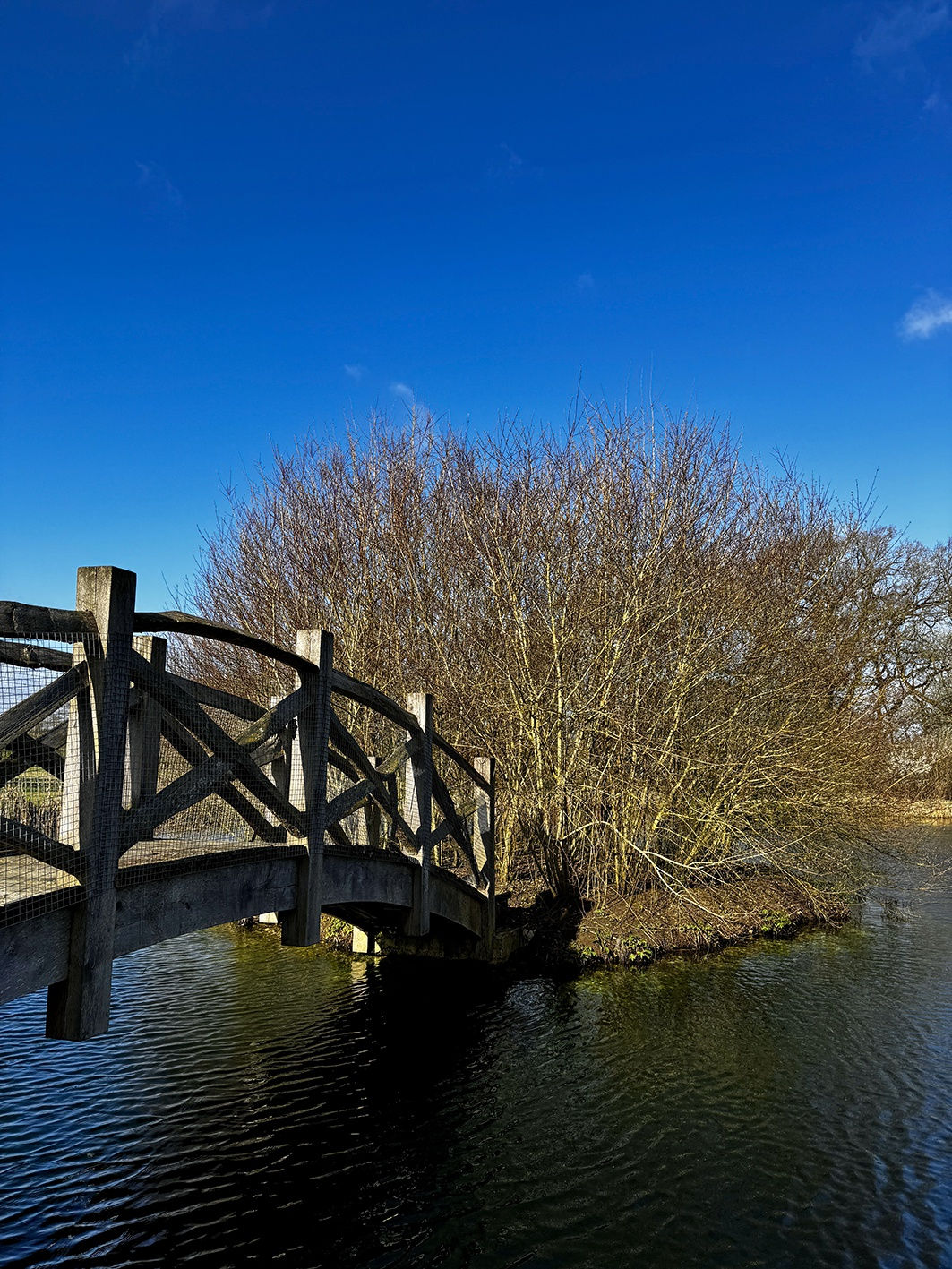 Xenia Creative Retreat