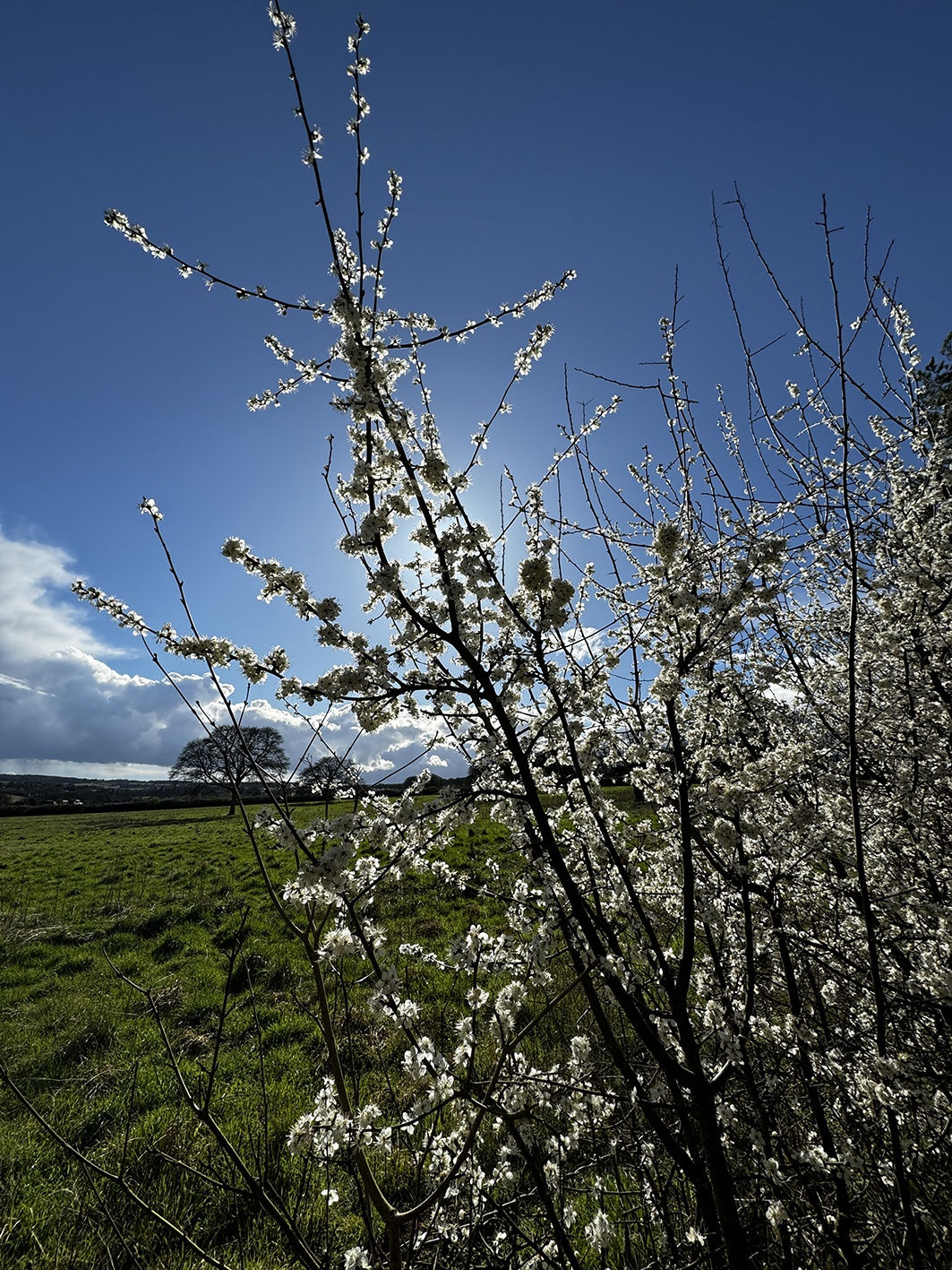 Xenia Creative Retreat