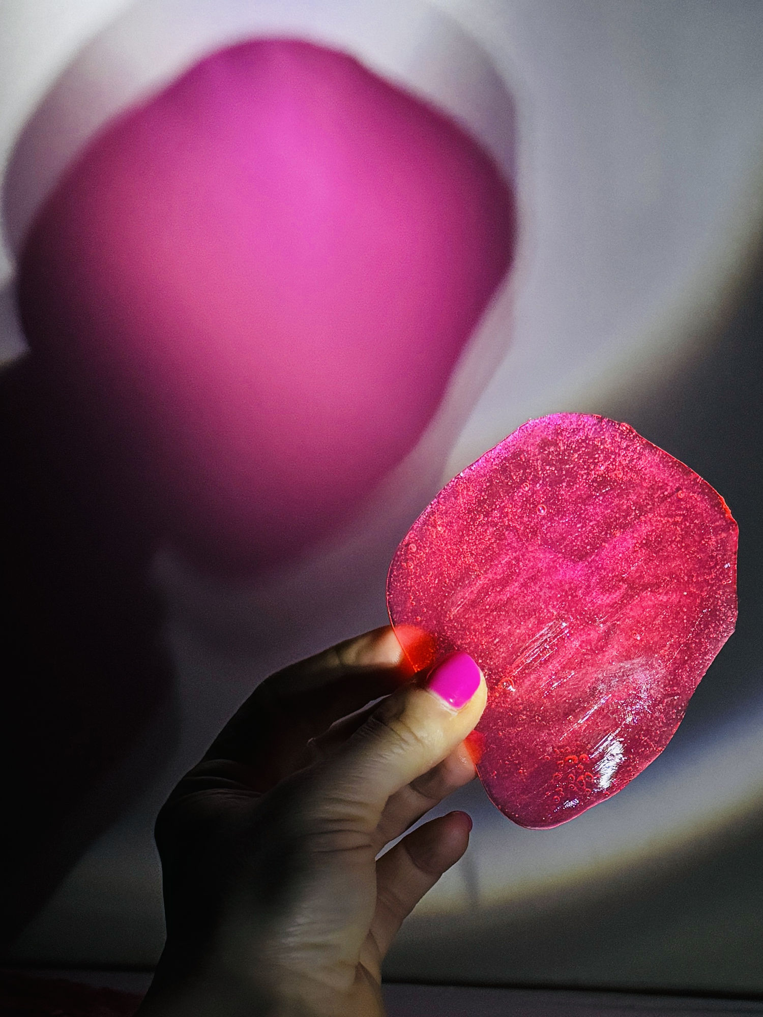 Rainforest Foundation