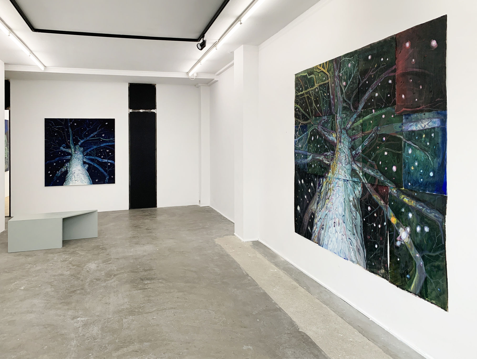 Johannesma, van Haaster, van Helmond, Horn, de Ridder, Rothman & Welten